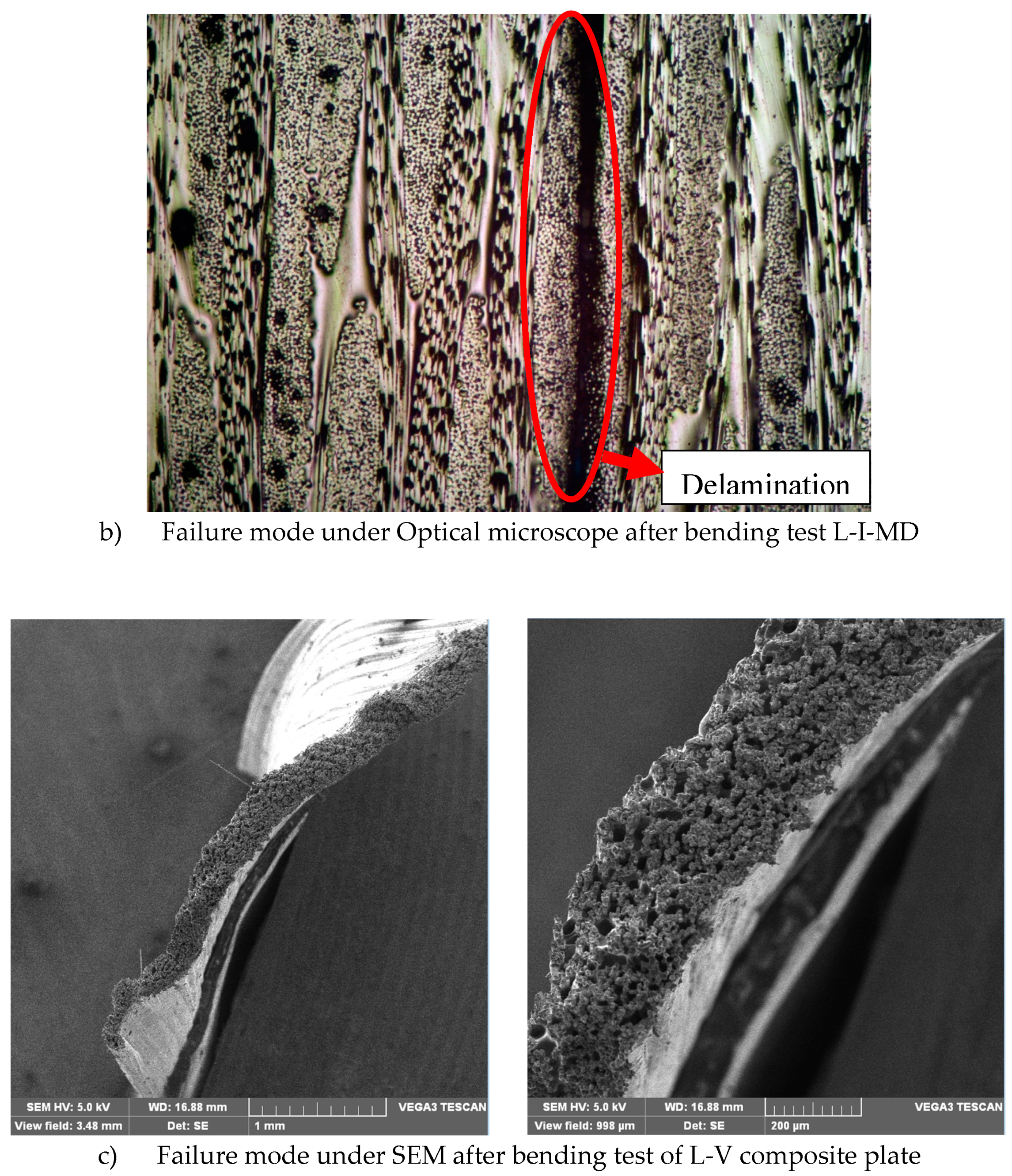Preprints 140572 g012b