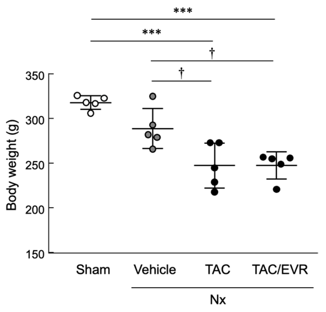 Preprints 191966 g001