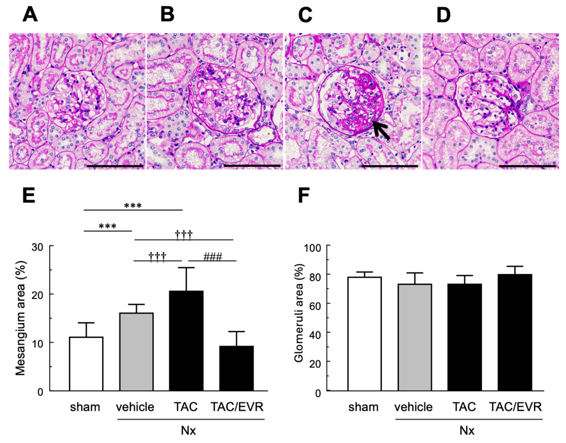 Preprints 191966 g002