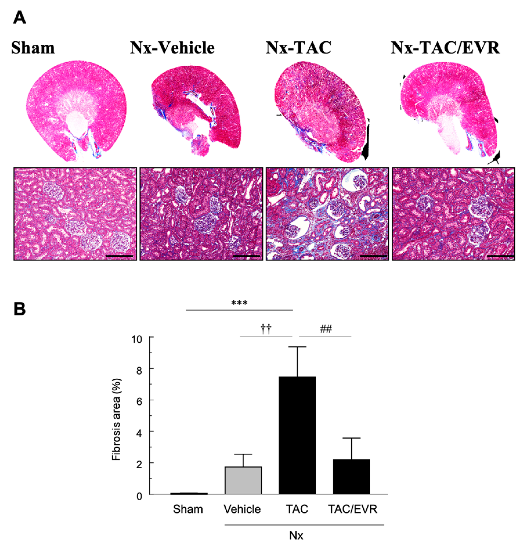 Preprints 191966 g003