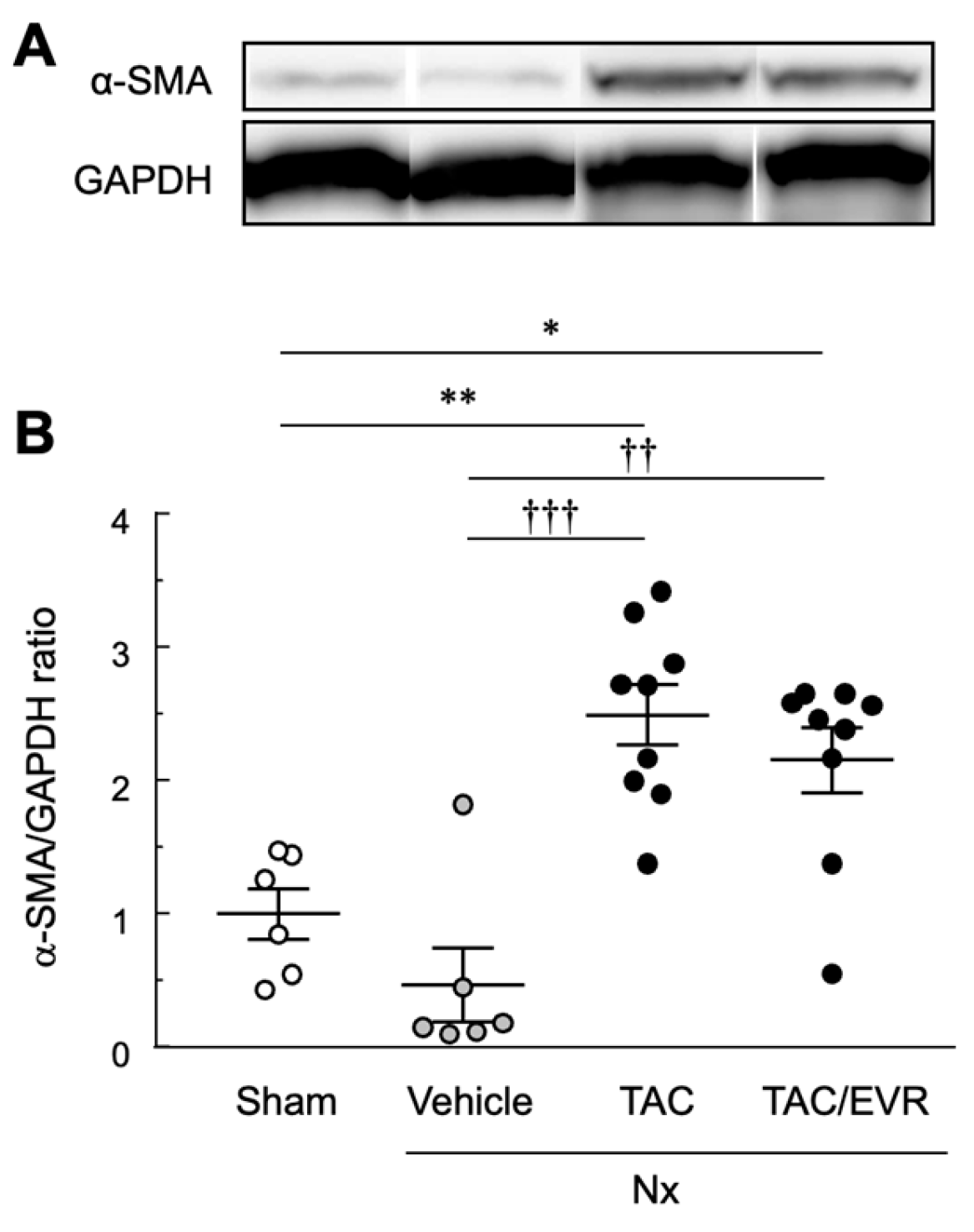 Preprints 191966 g004