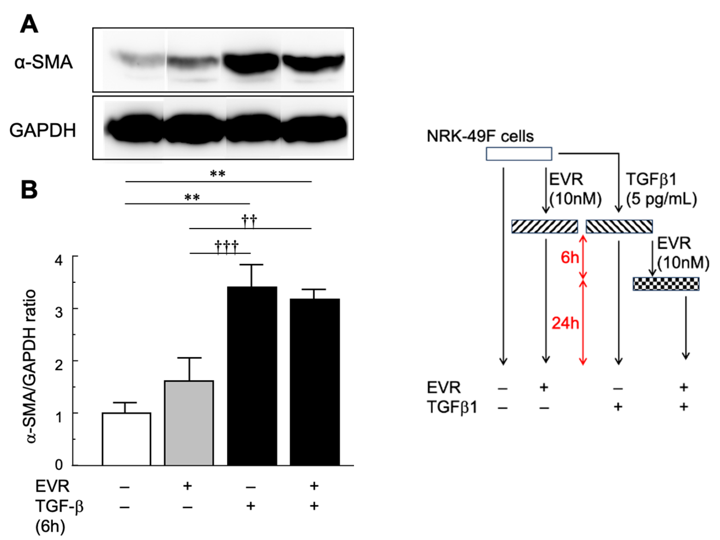 Preprints 191966 g006