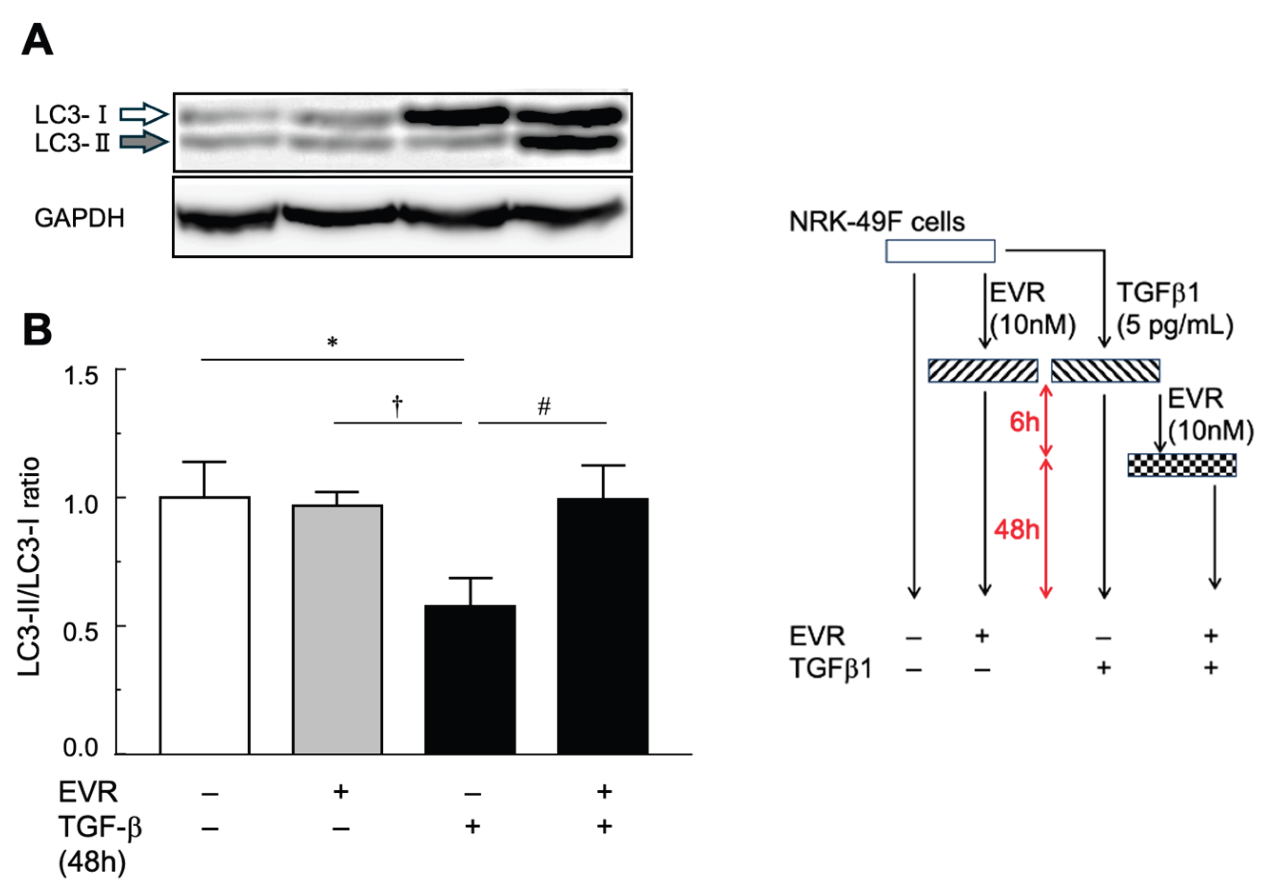 Preprints 191966 g007
