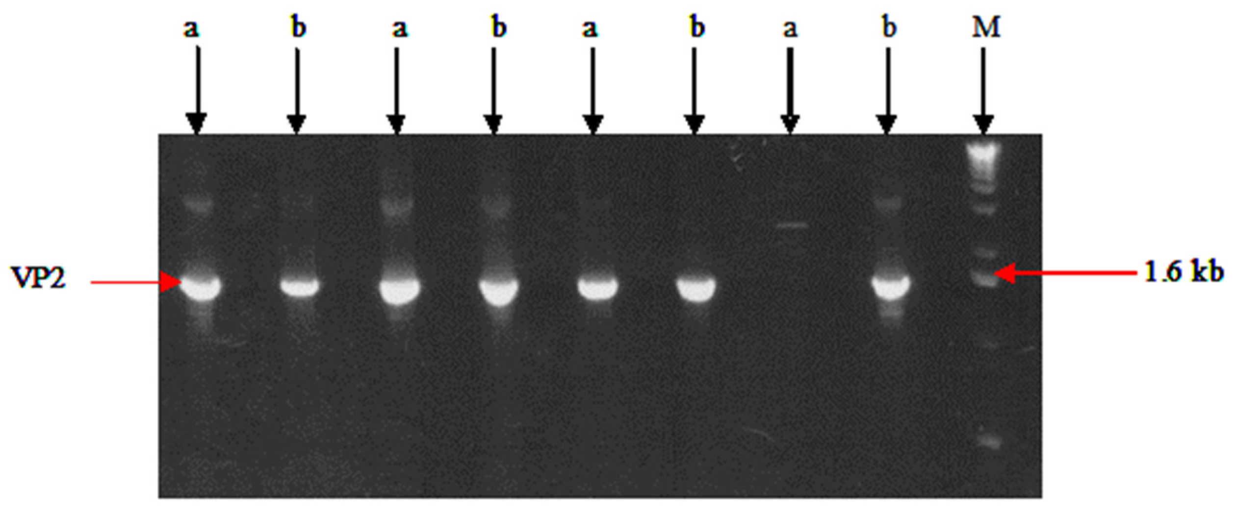 Preprints 85537 g001
