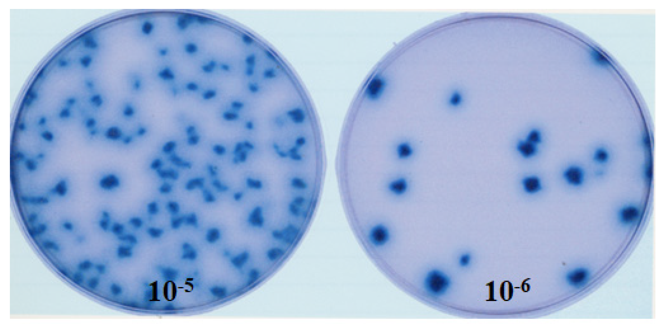 Preprints 85537 g002
