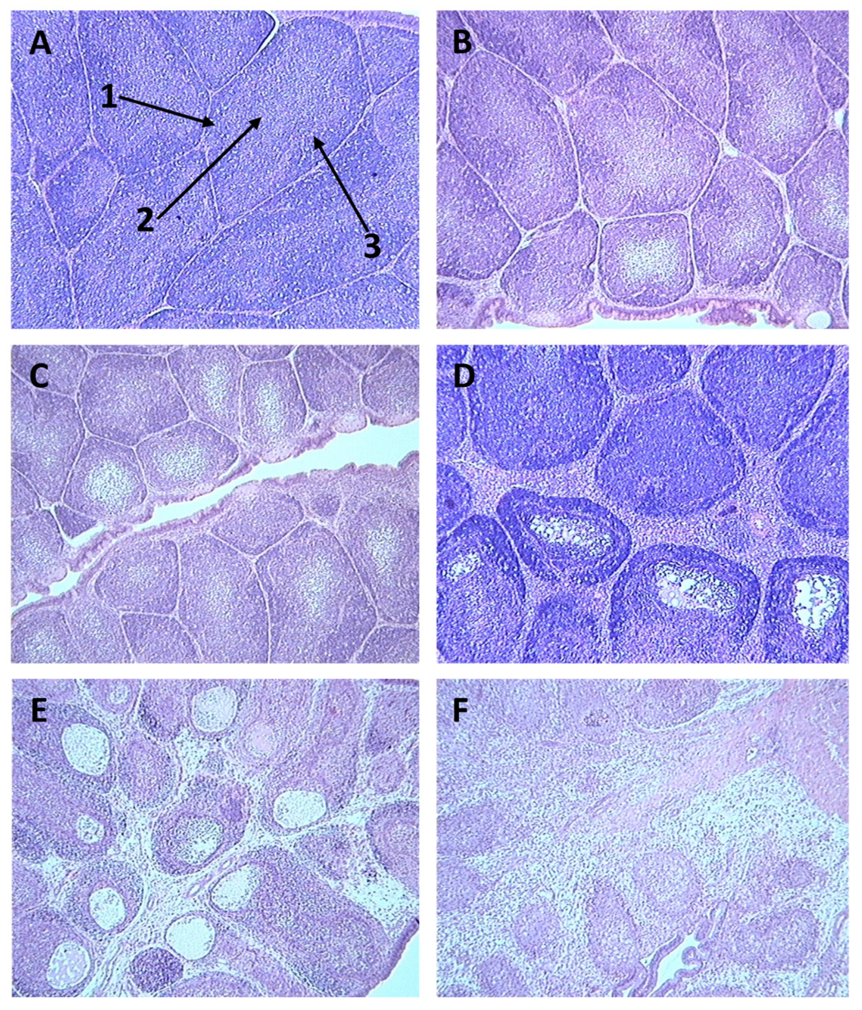 Preprints 85537 g003