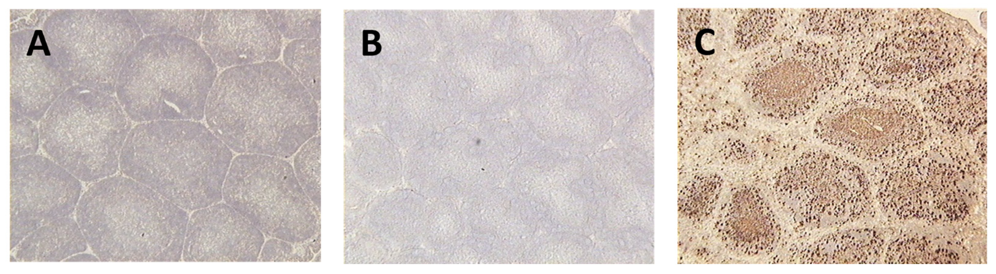 Preprints 85537 g005