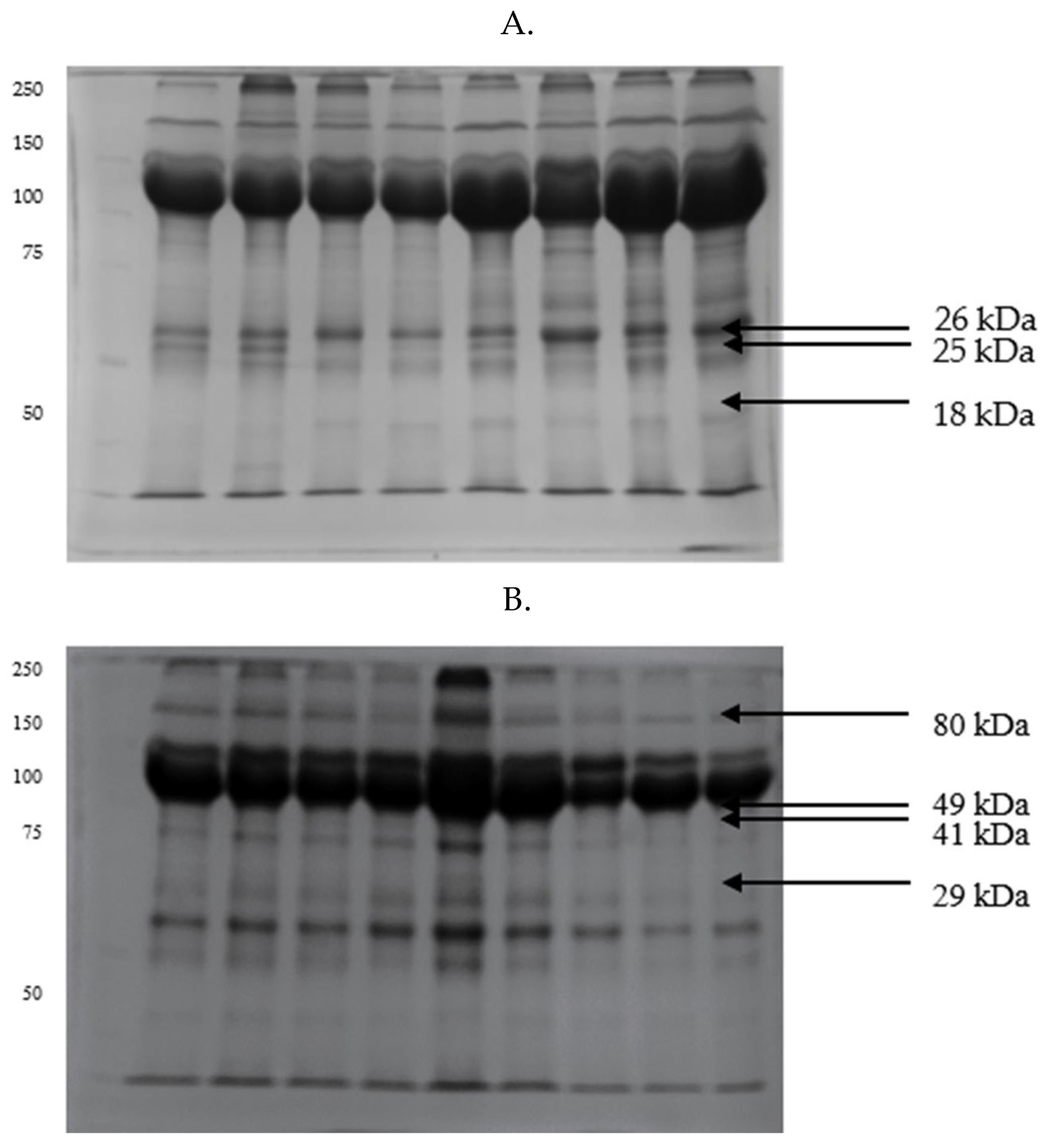 Preprints 179045 g001