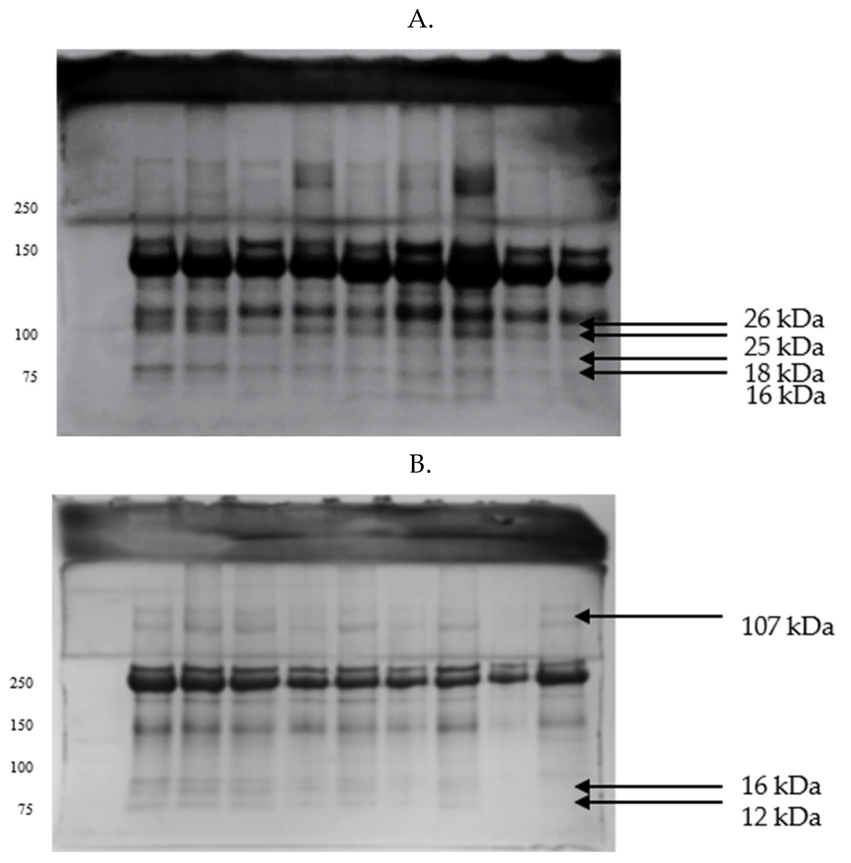 Preprints 179045 g002