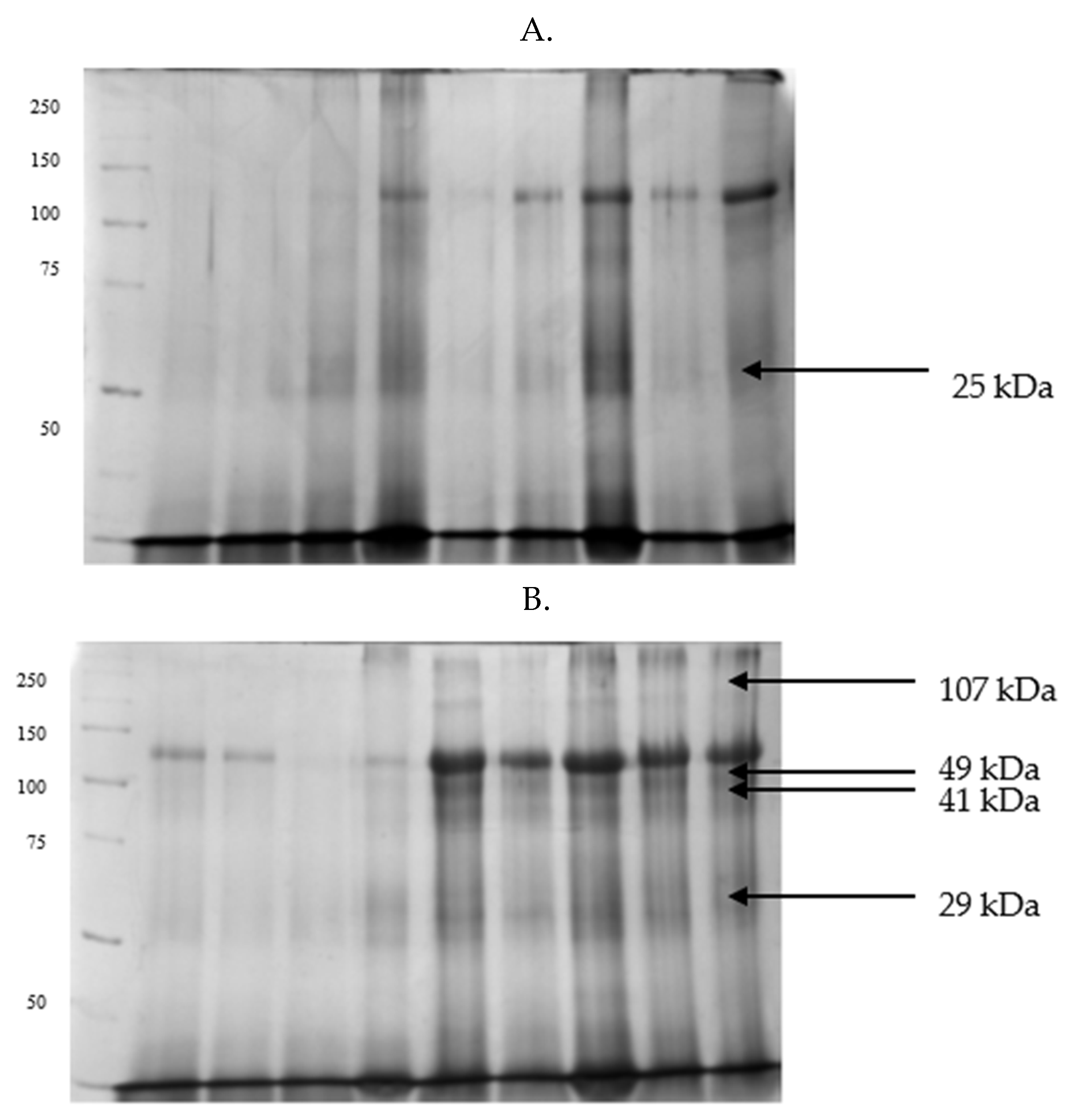 Preprints 179045 g003