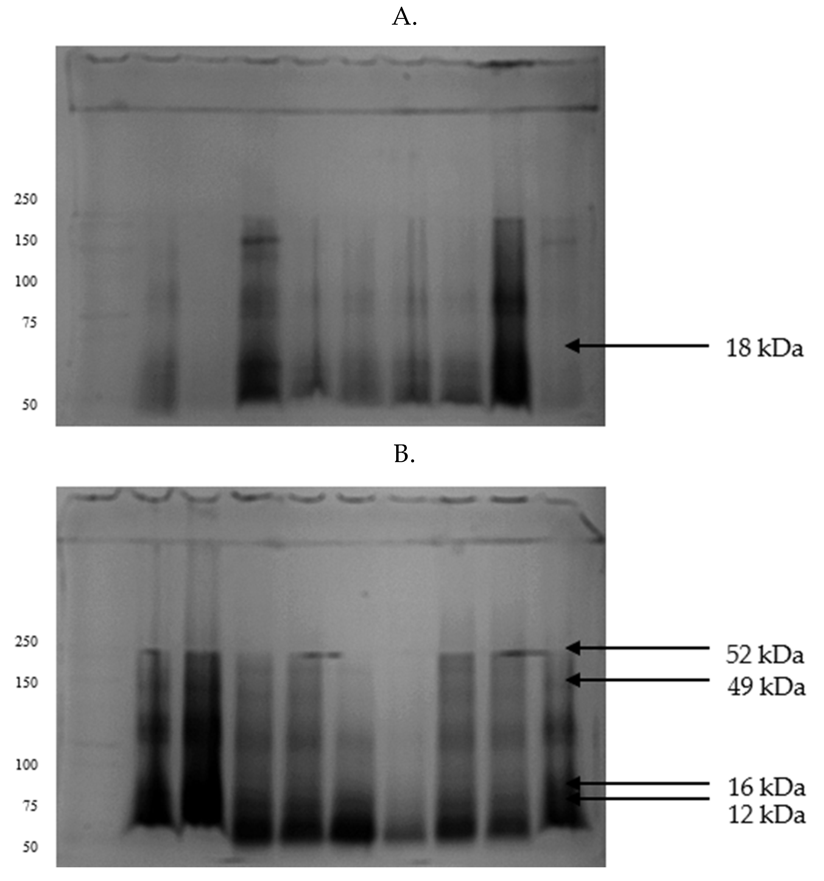 Preprints 179045 g004