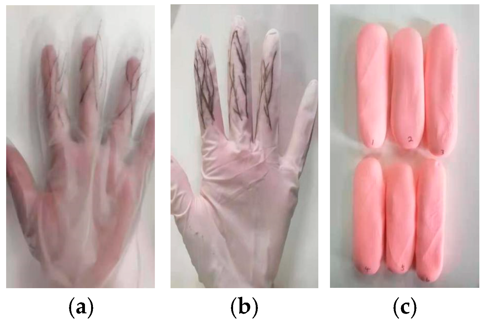 Preprints 142602 g004