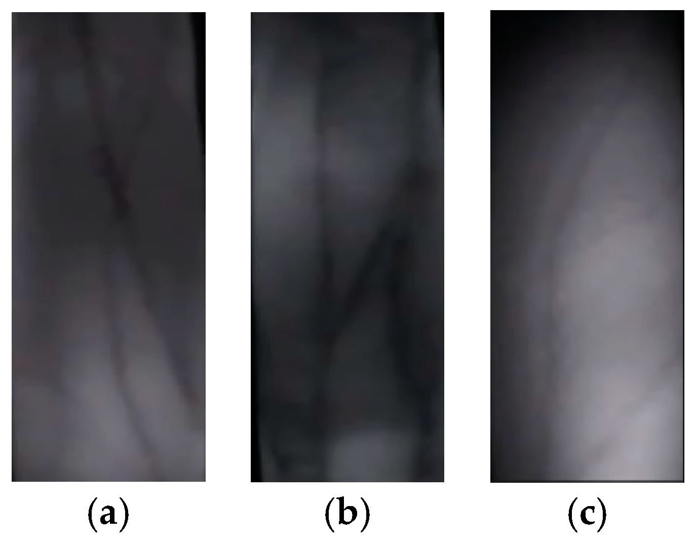 Preprints 142602 g005