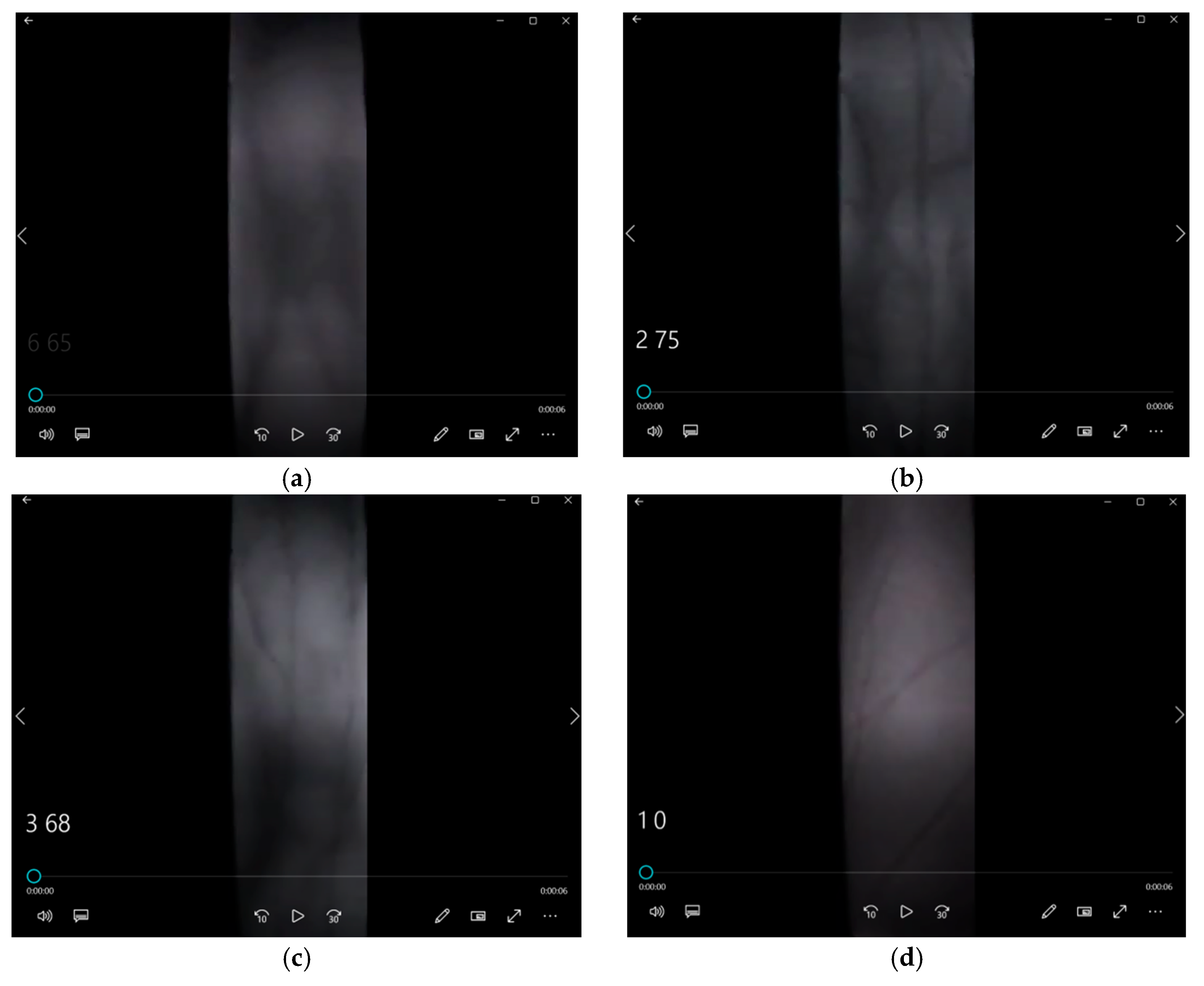 Preprints 142602 g012