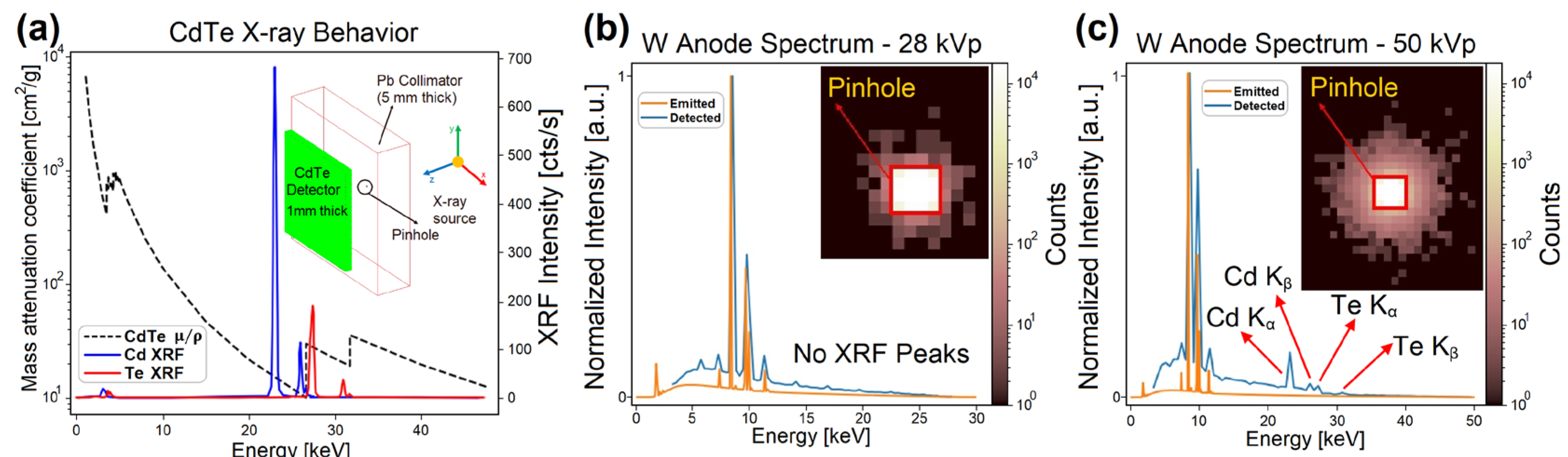Preprints 200152 g003