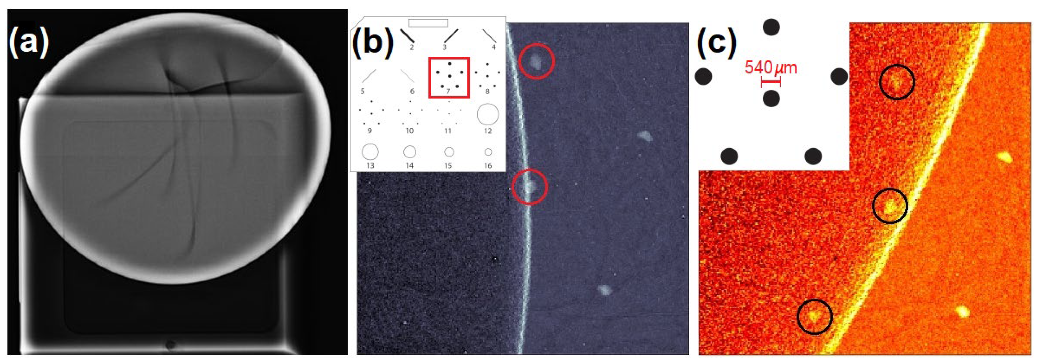 Preprints 200152 g006