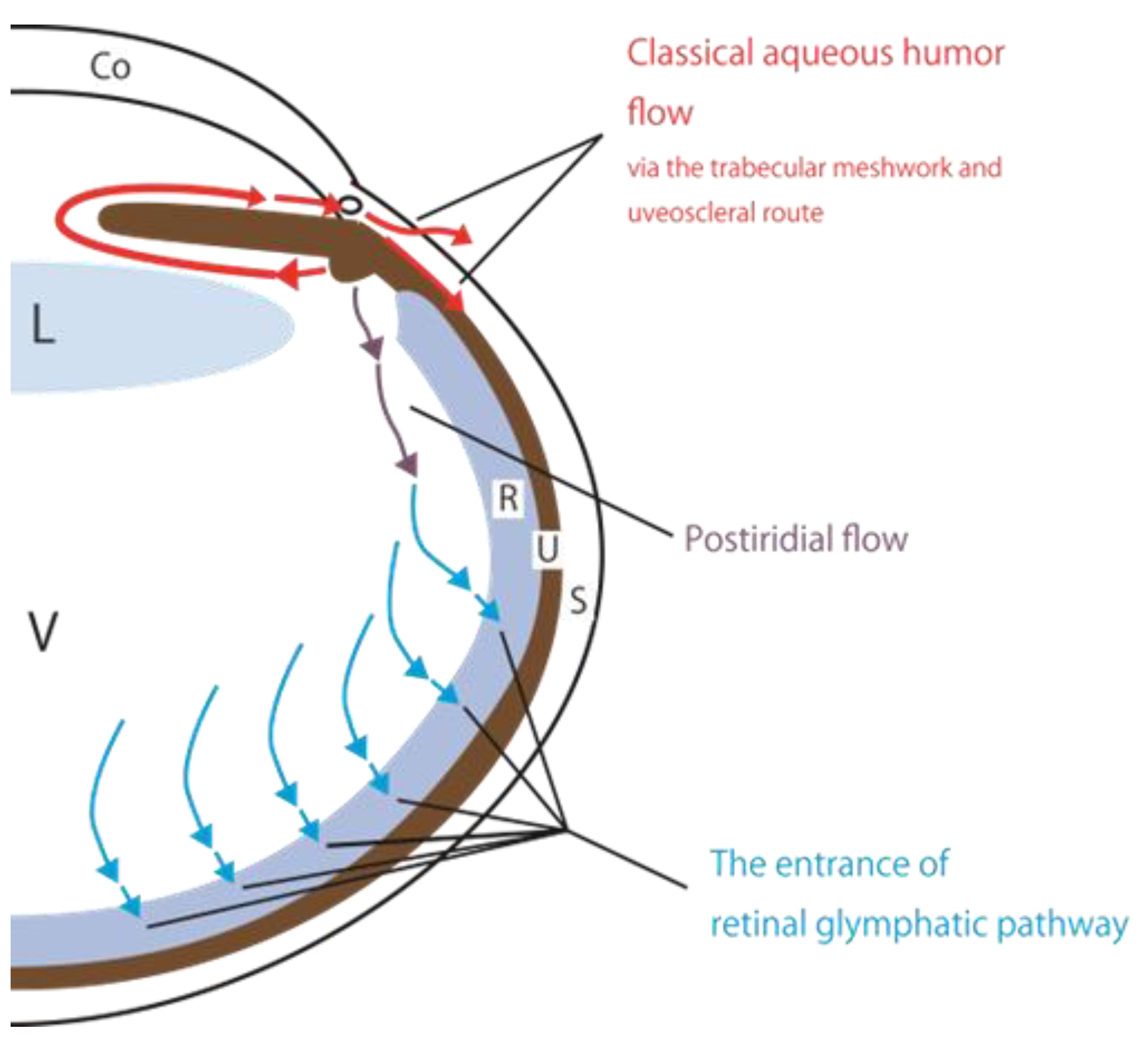 Preprints 144306 g001