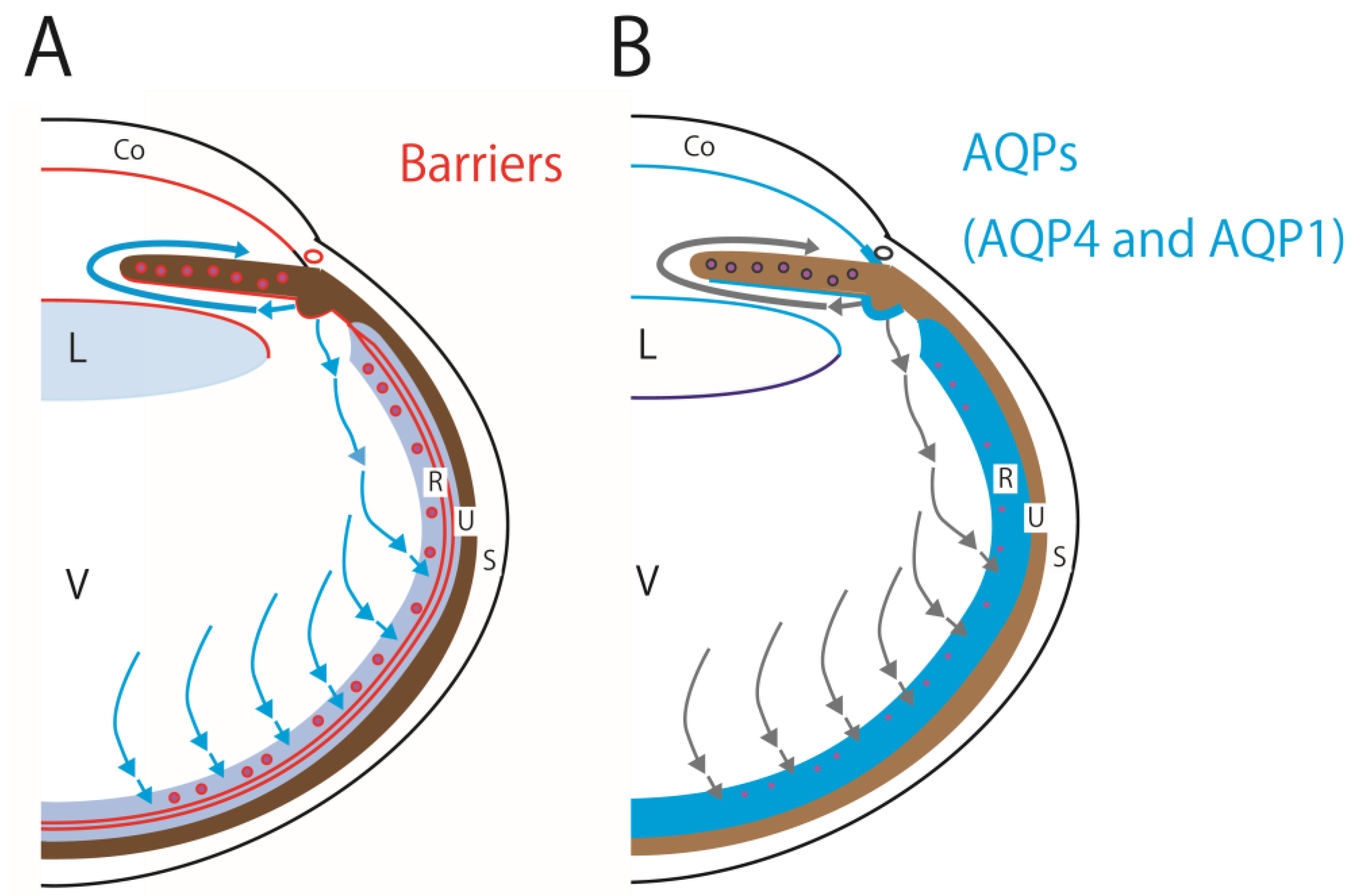 Preprints 144306 g002