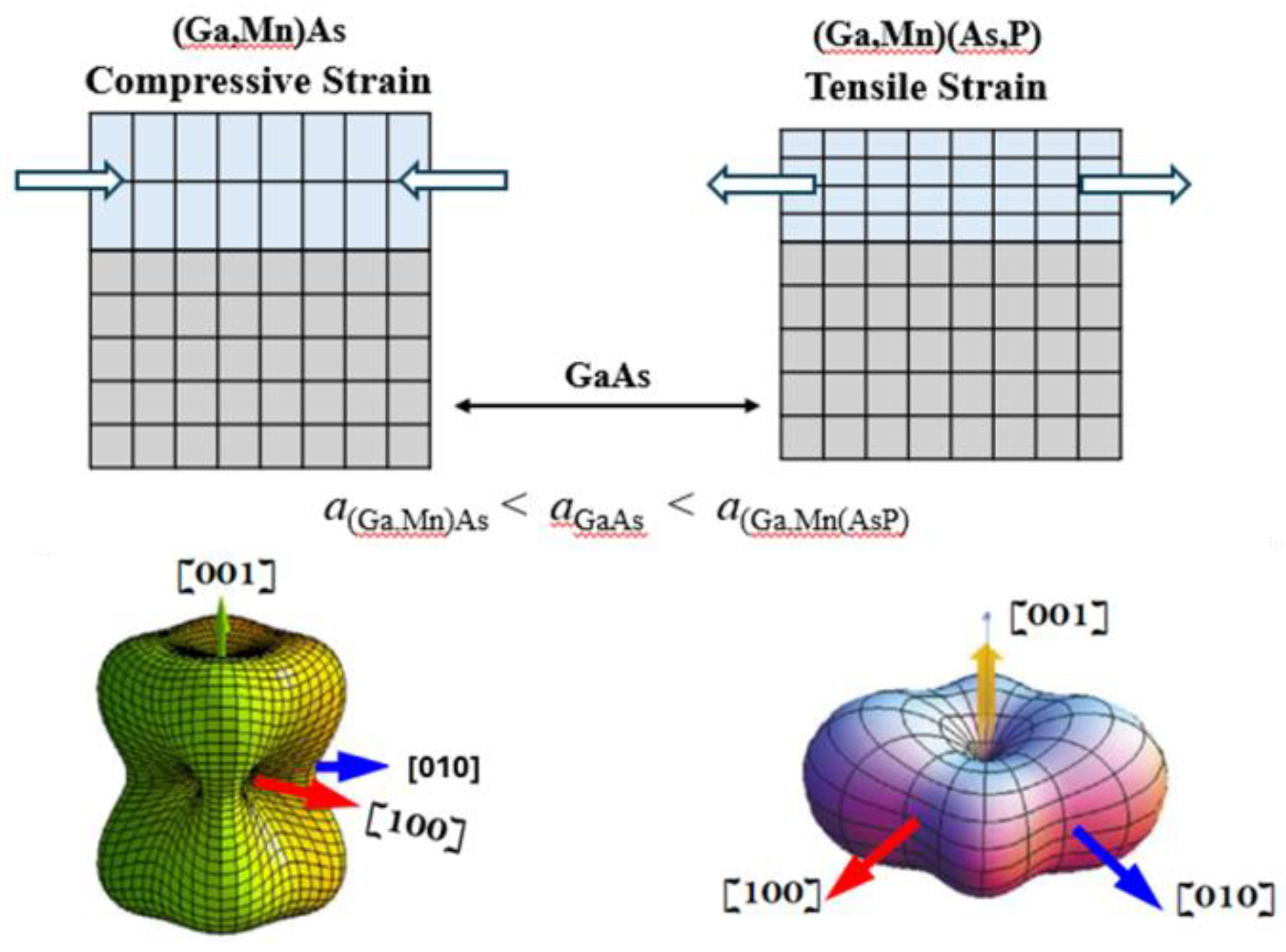 Preprints 140495 g004