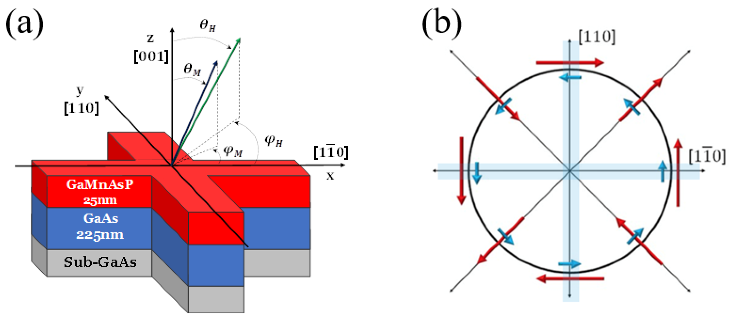 Preprints 140495 g005