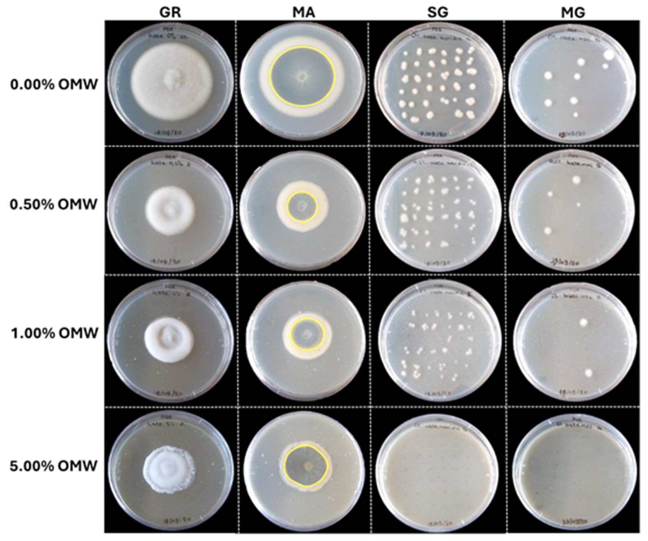 Preprints 149008 g001