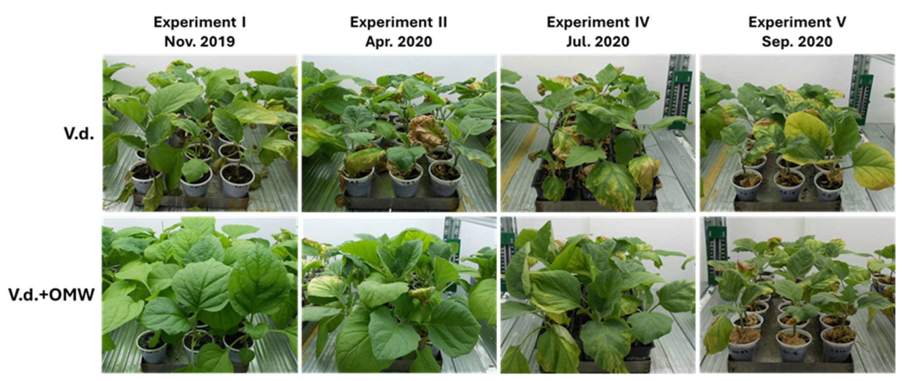 Preprints 149008 g003