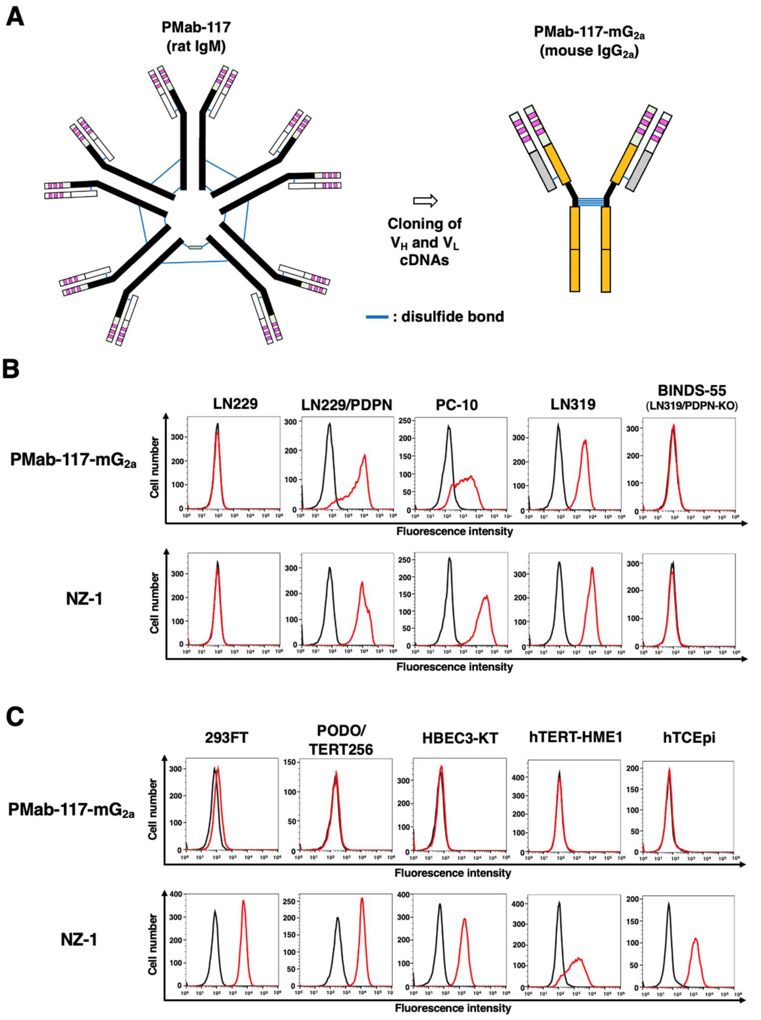 Preprints 120369 g002
