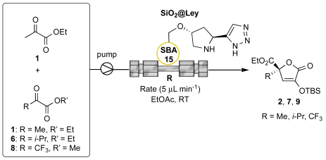 Preprints 144016 i004