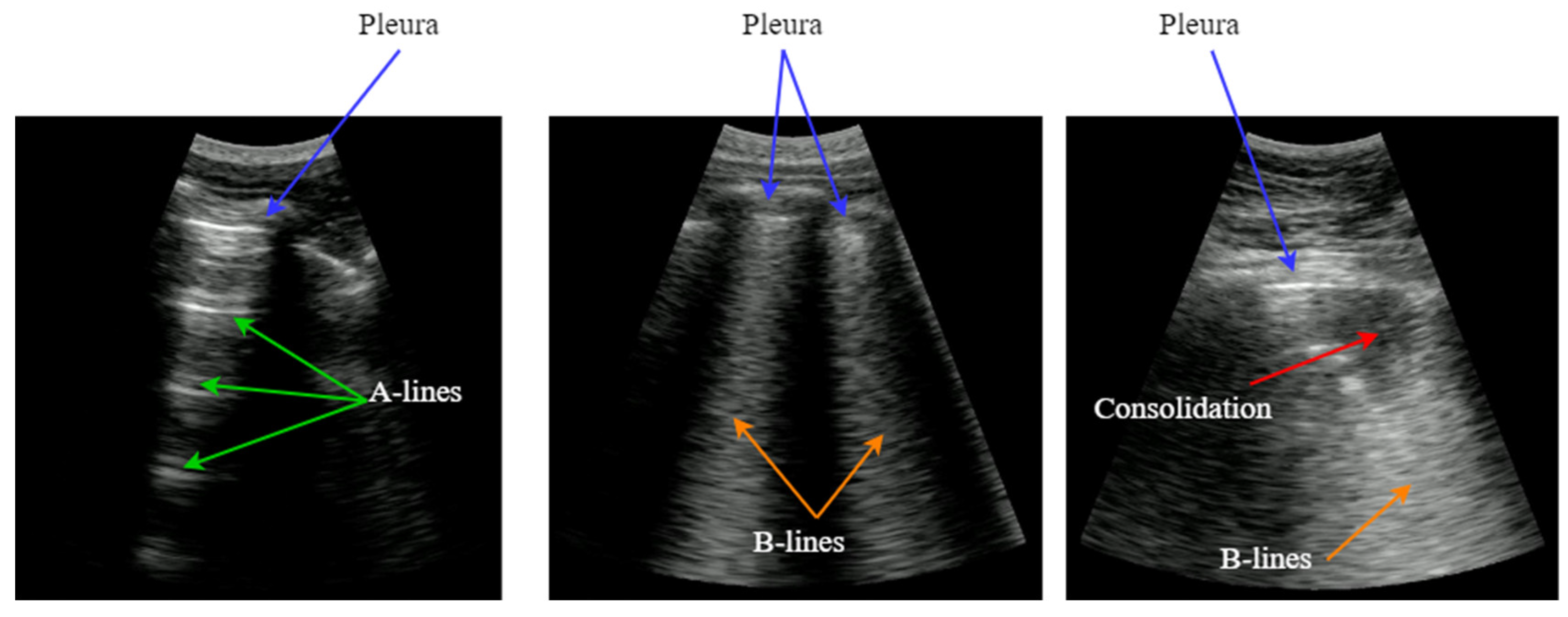 Preprints 139804 g001