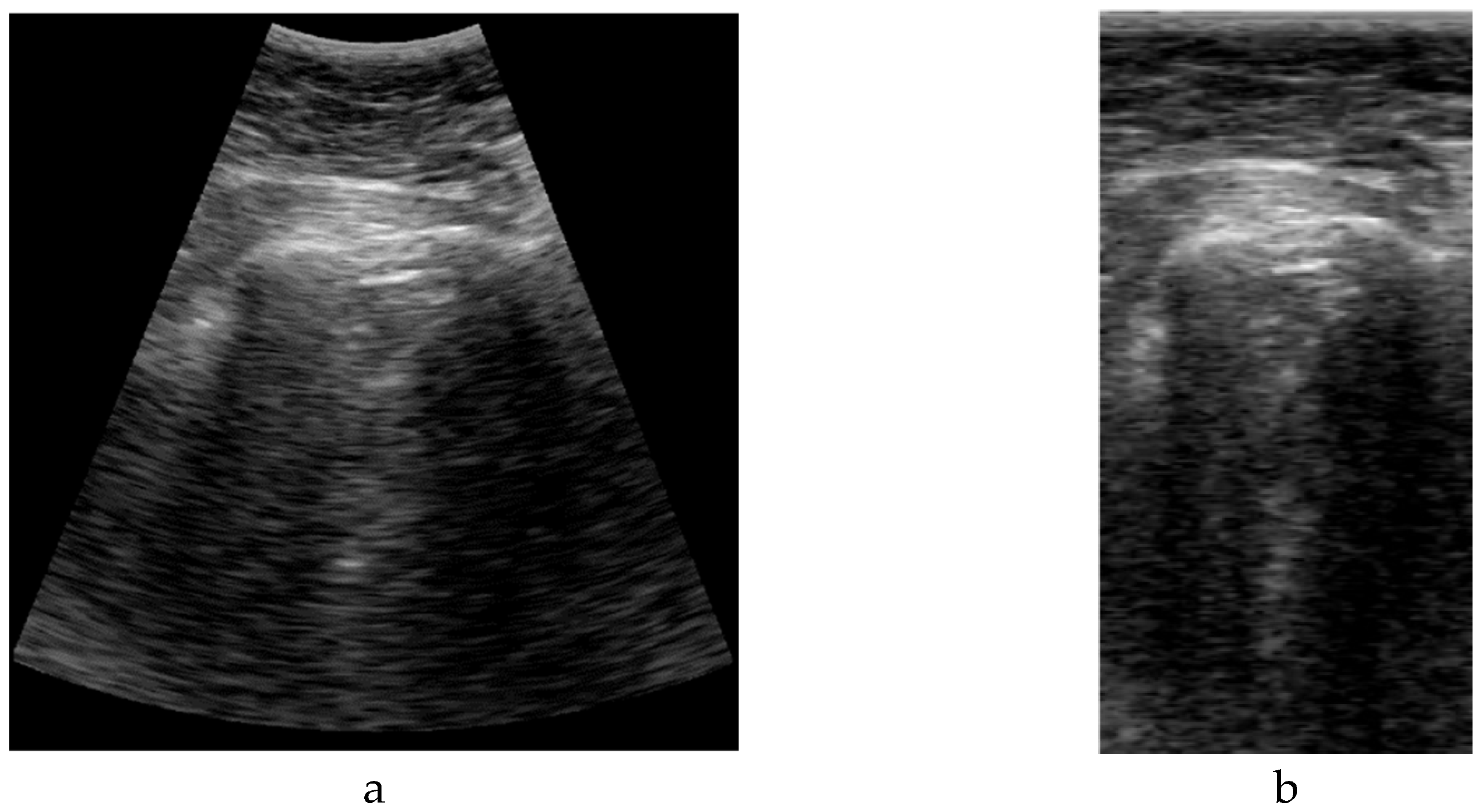 Preprints 139804 g003