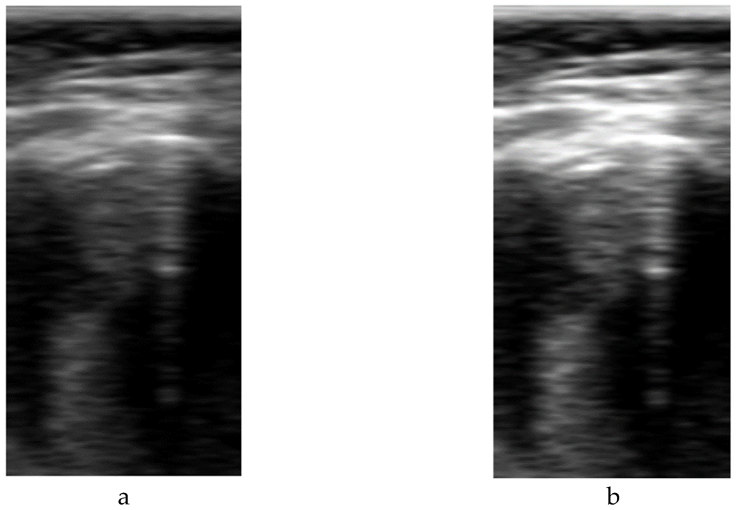 Preprints 139804 g007