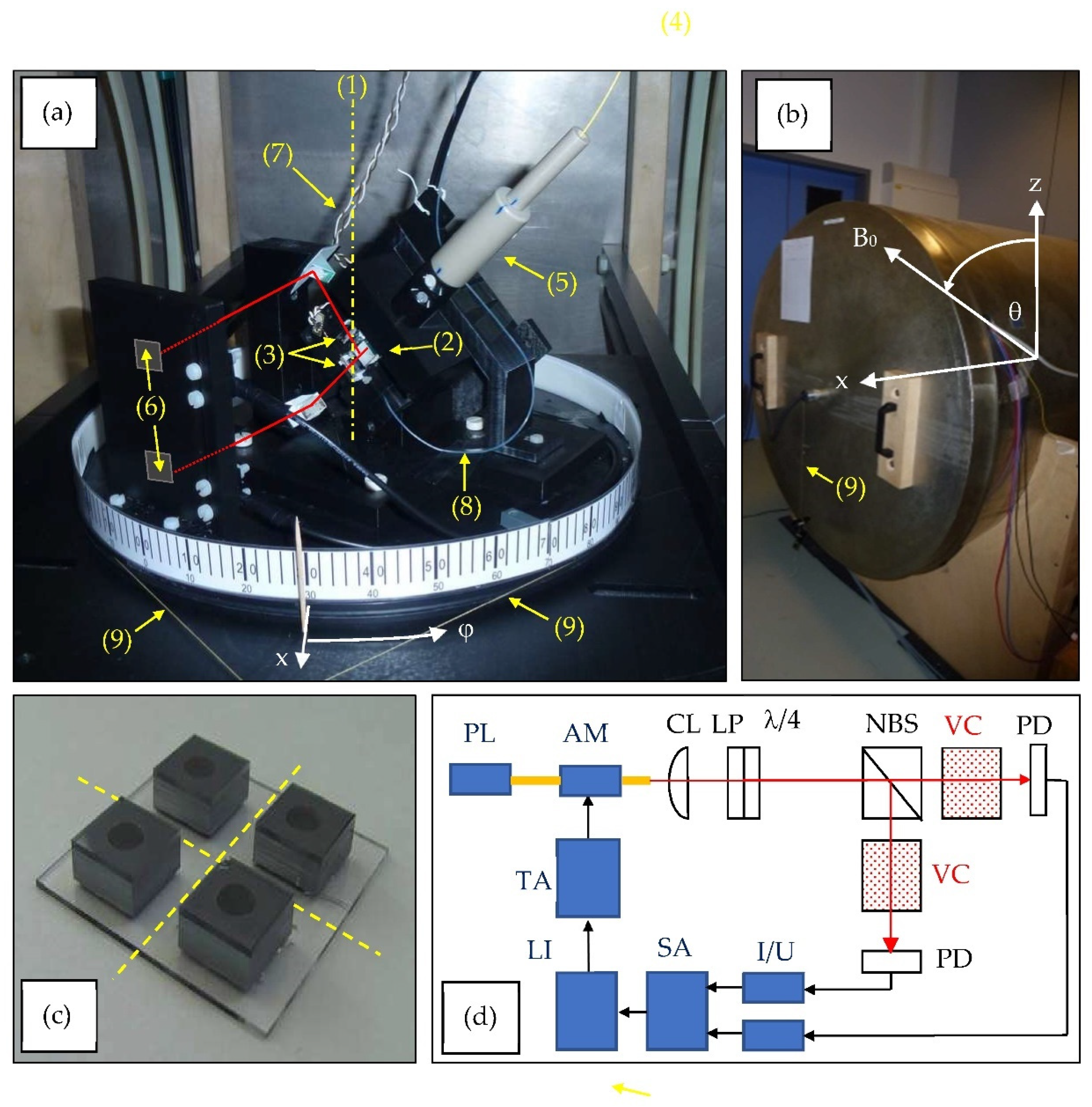 Preprints 78391 g002