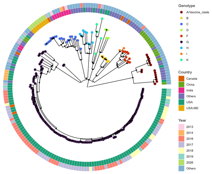 Preprints 235982 g001