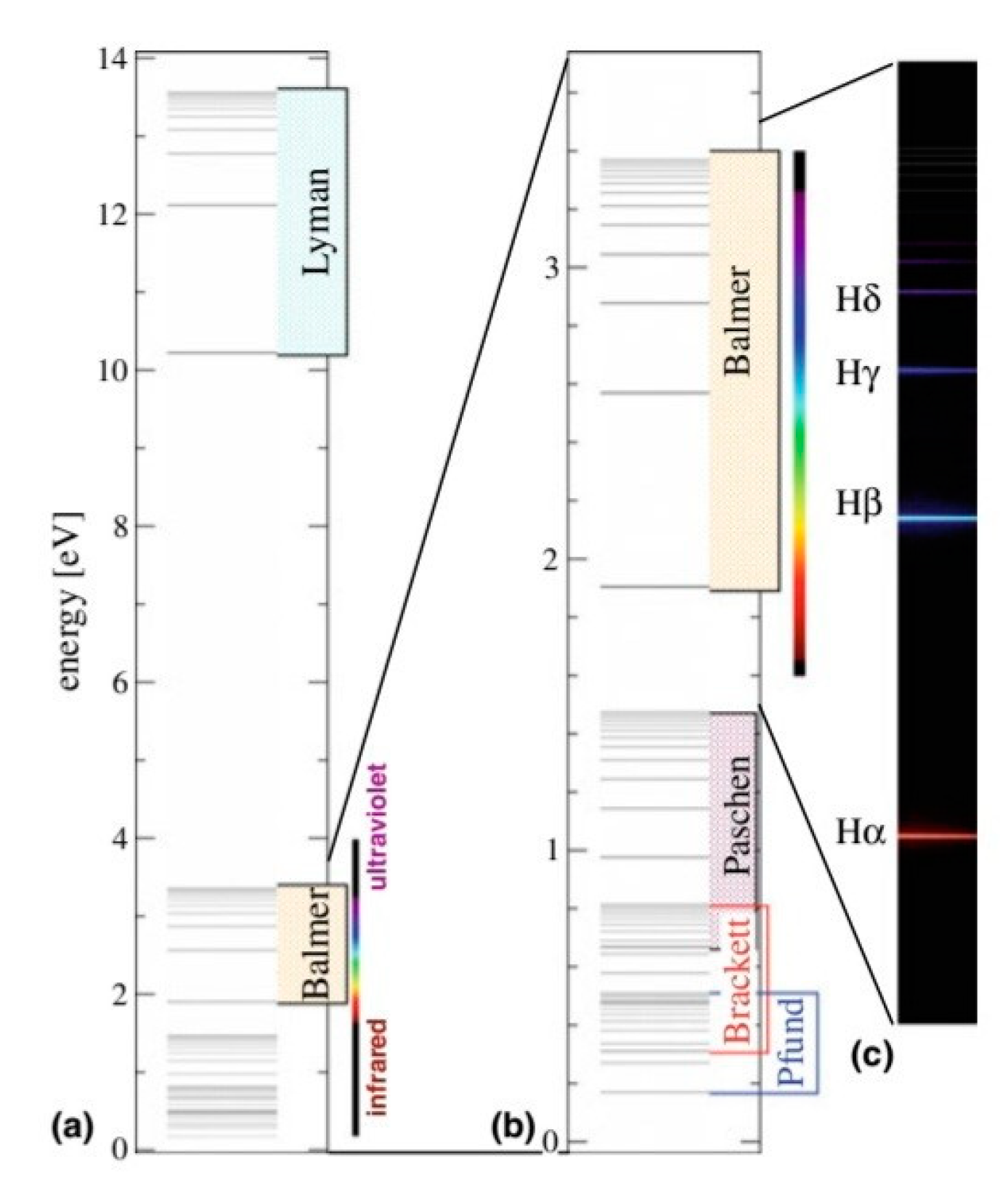 Preprints 194593 g002