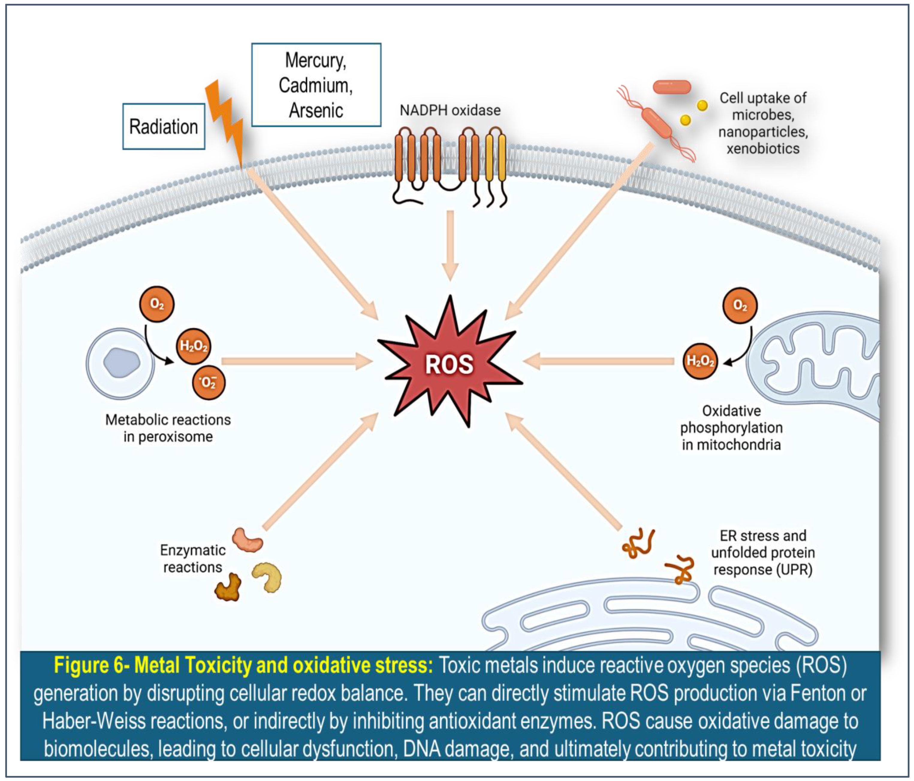 Preprints 141958 g006