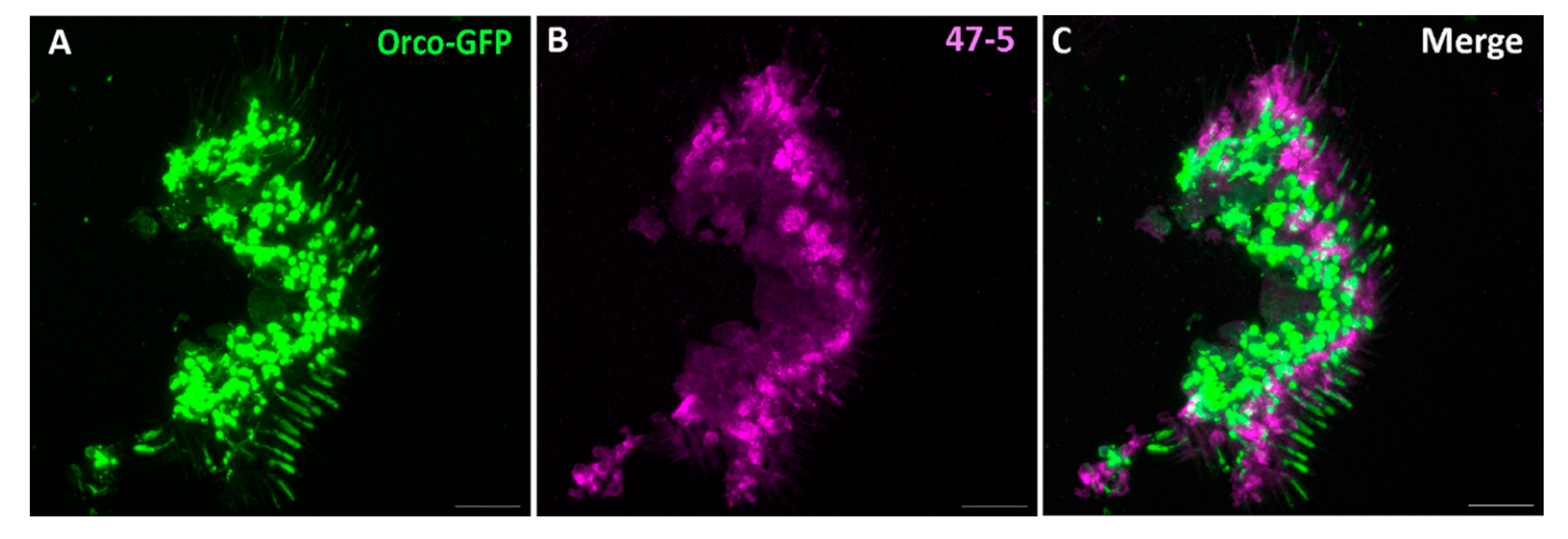 Preprints 140754 g004