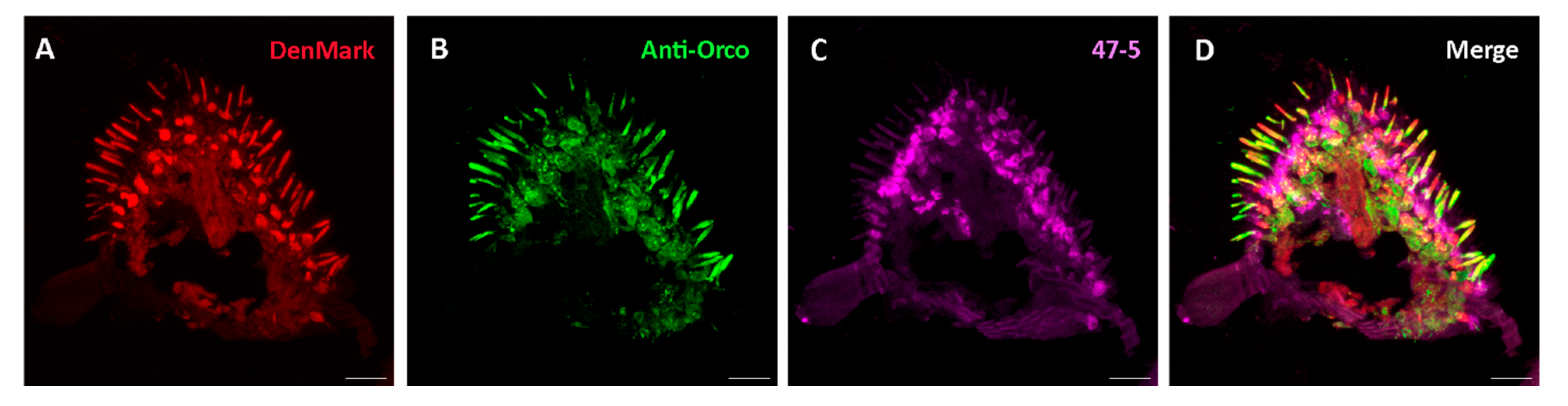 Preprints 140754 g005