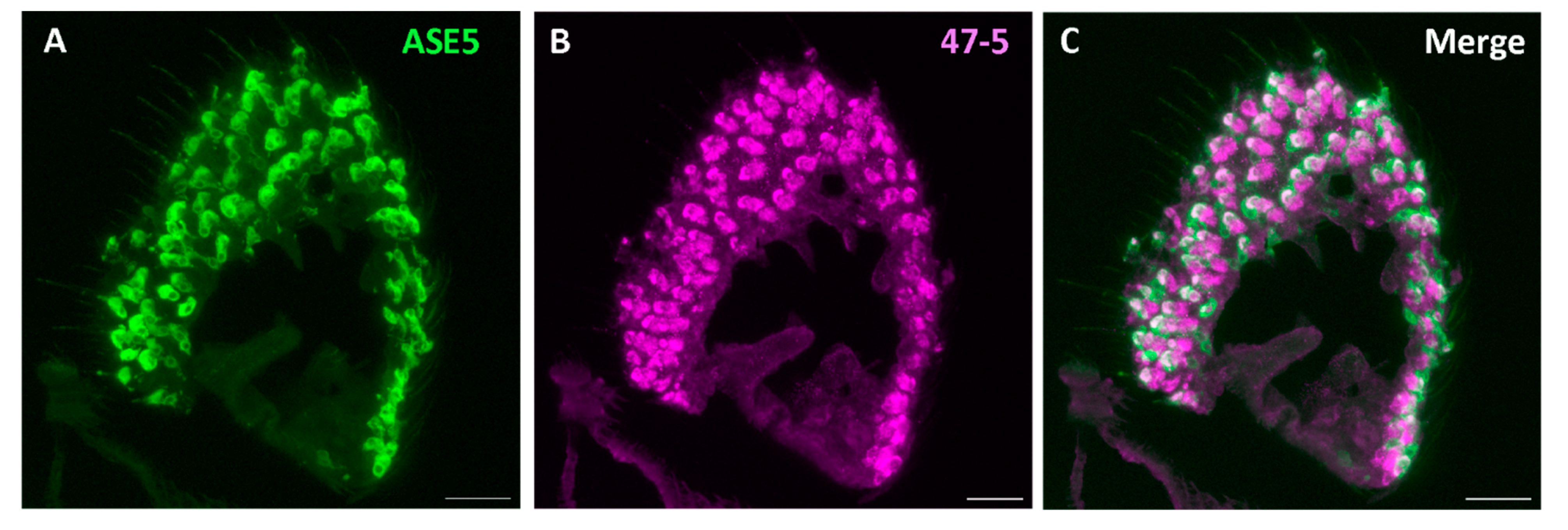 Preprints 140754 g007