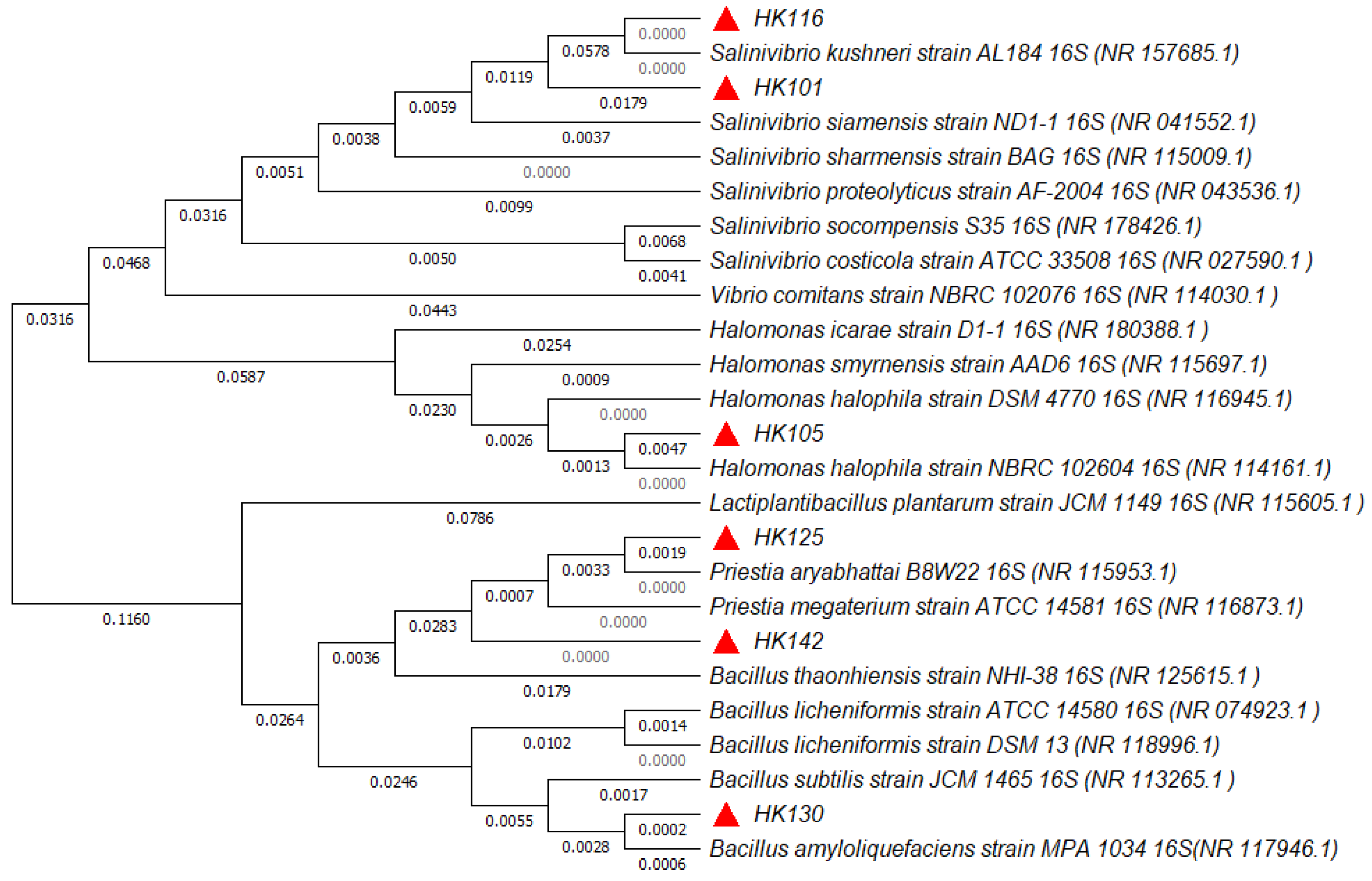 Preprints 203541 g002