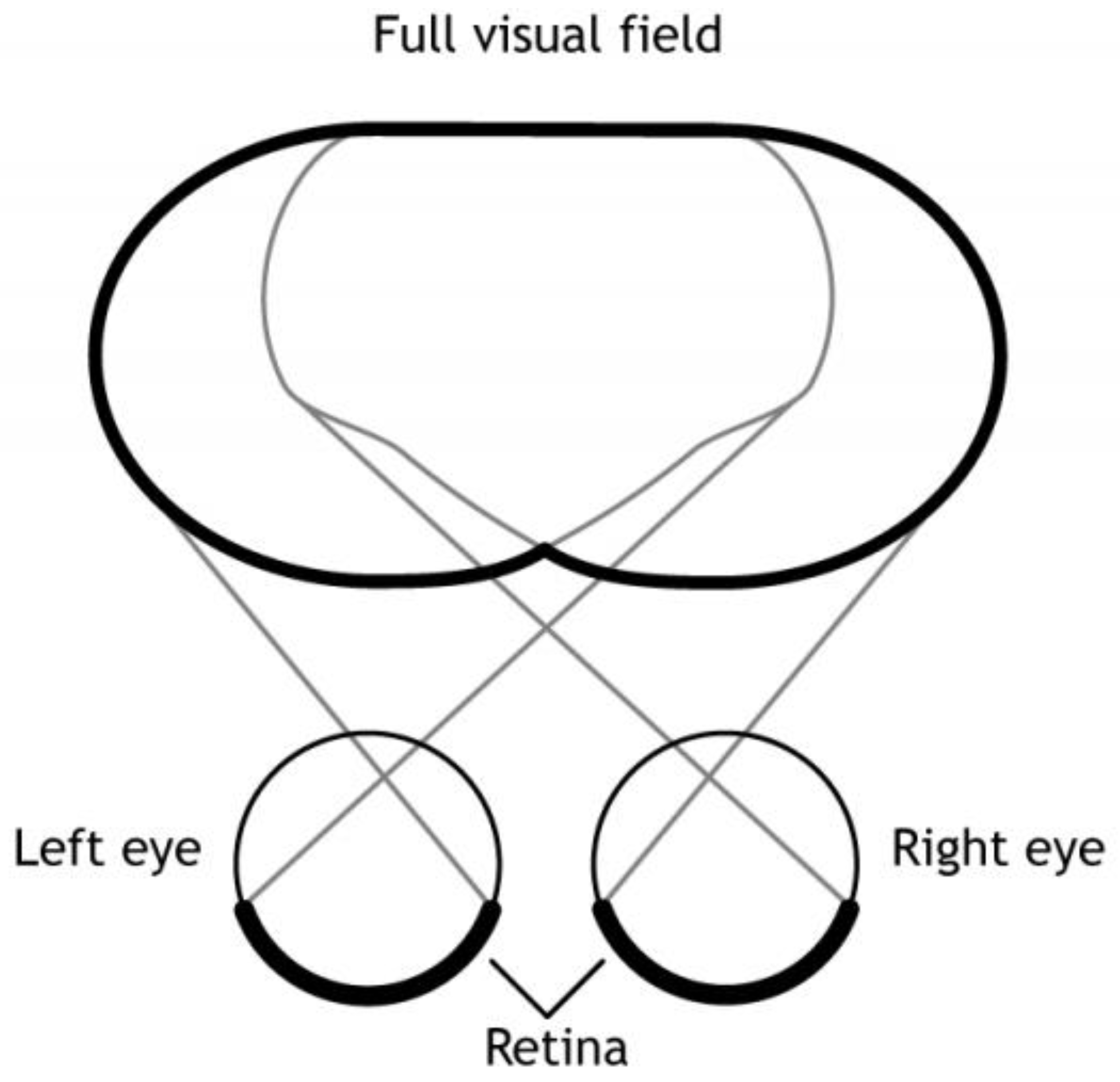 Preprints 77329 g001