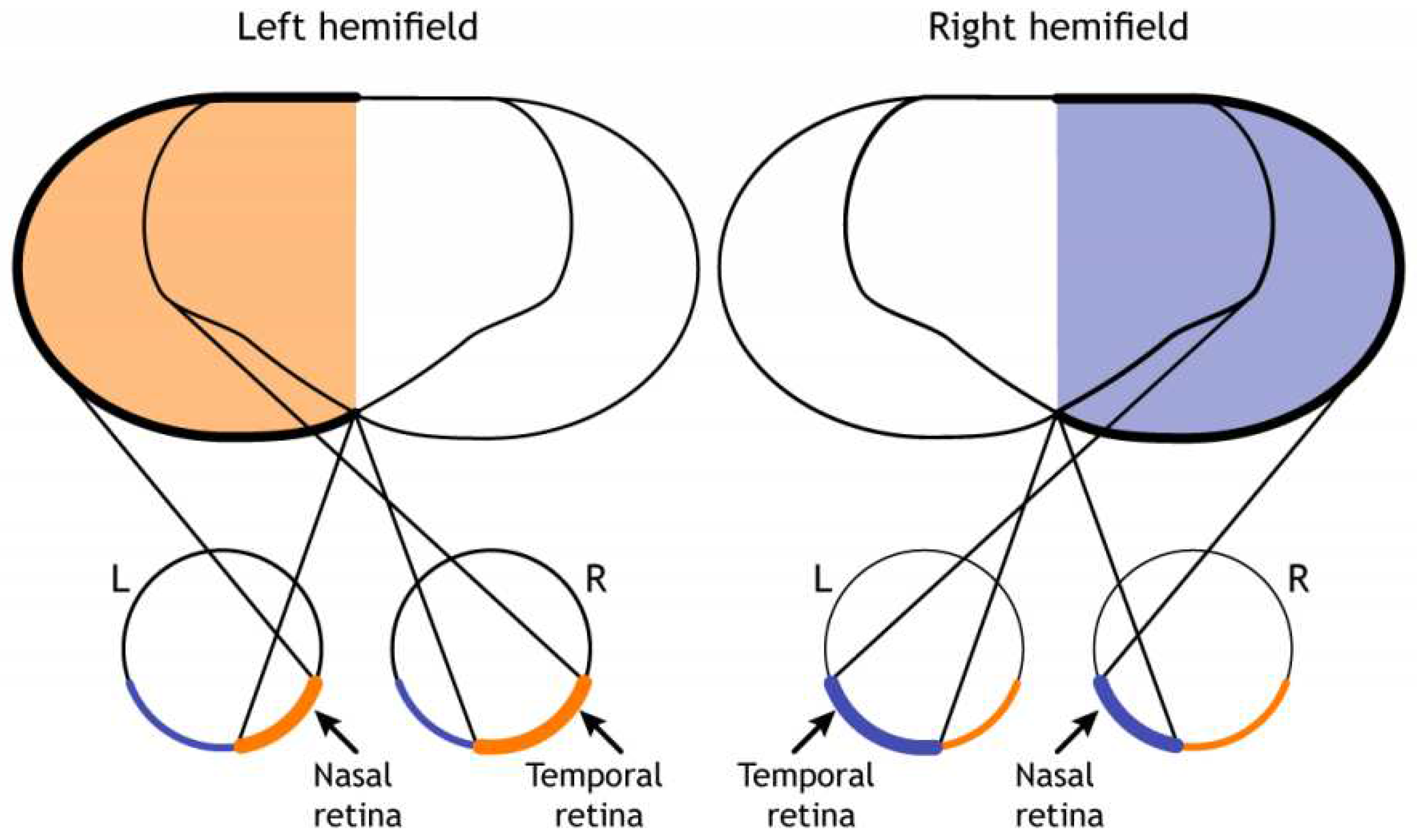 Preprints 77329 g002