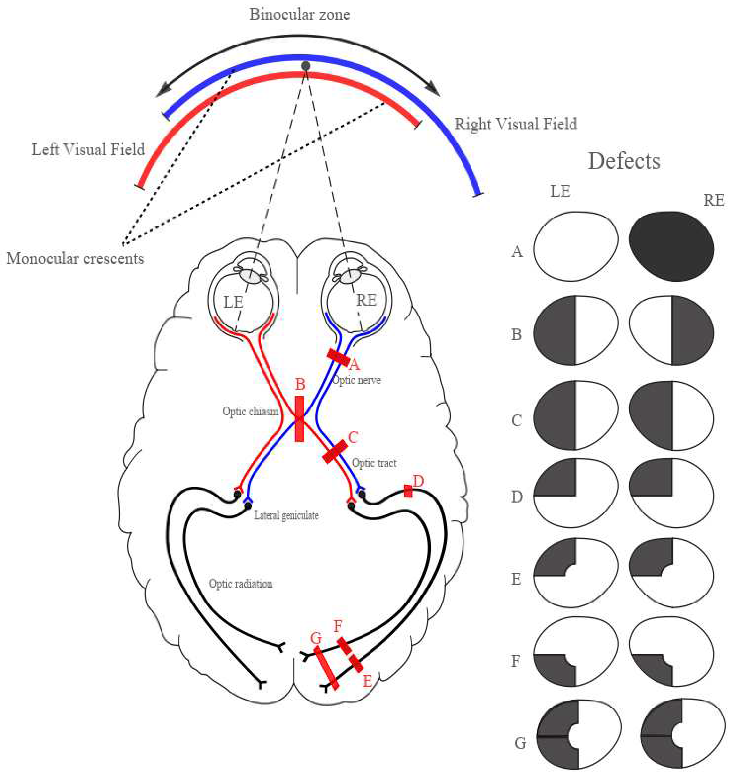 Preprints 77329 g003
