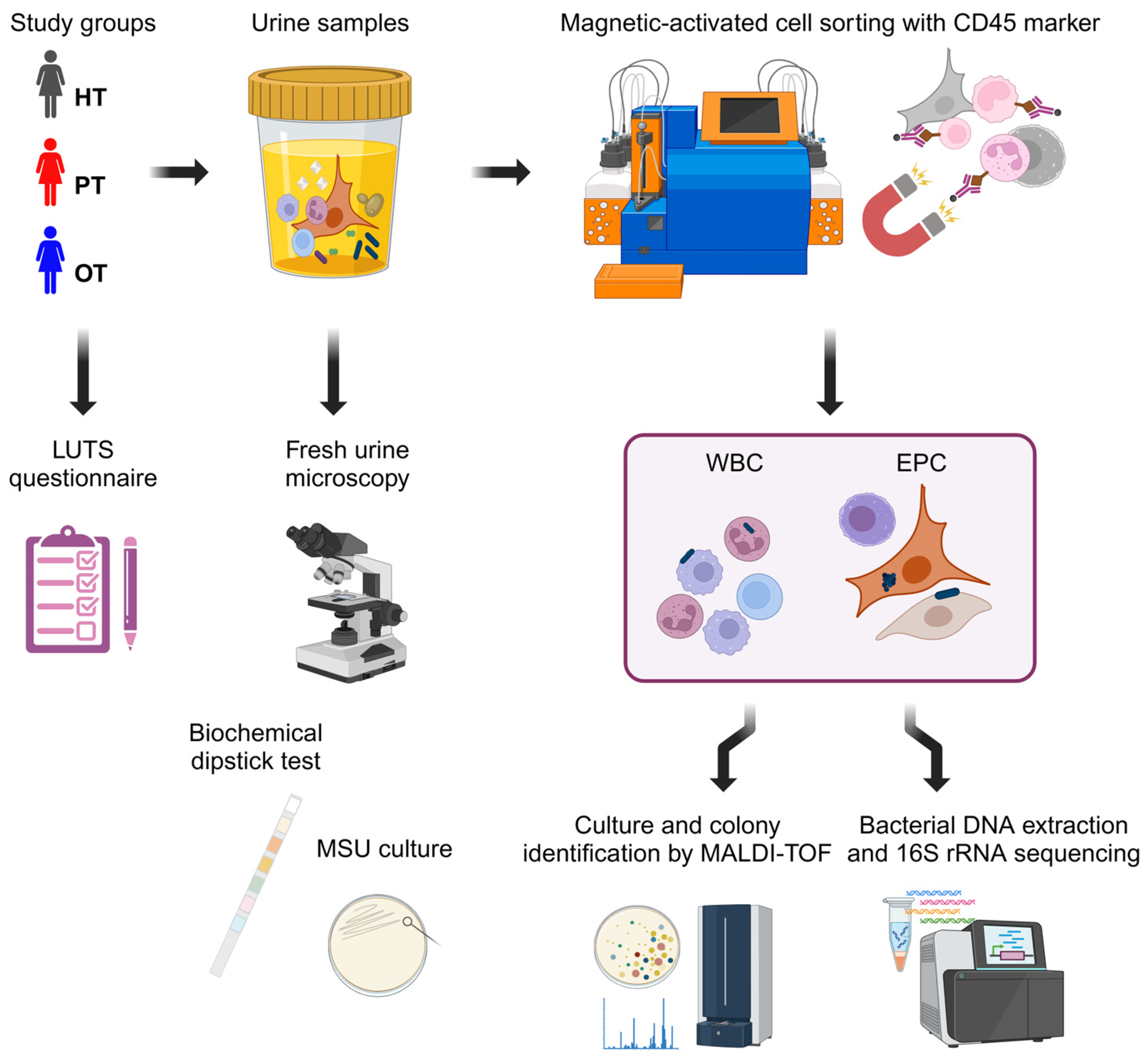 Preprints 147501 g001