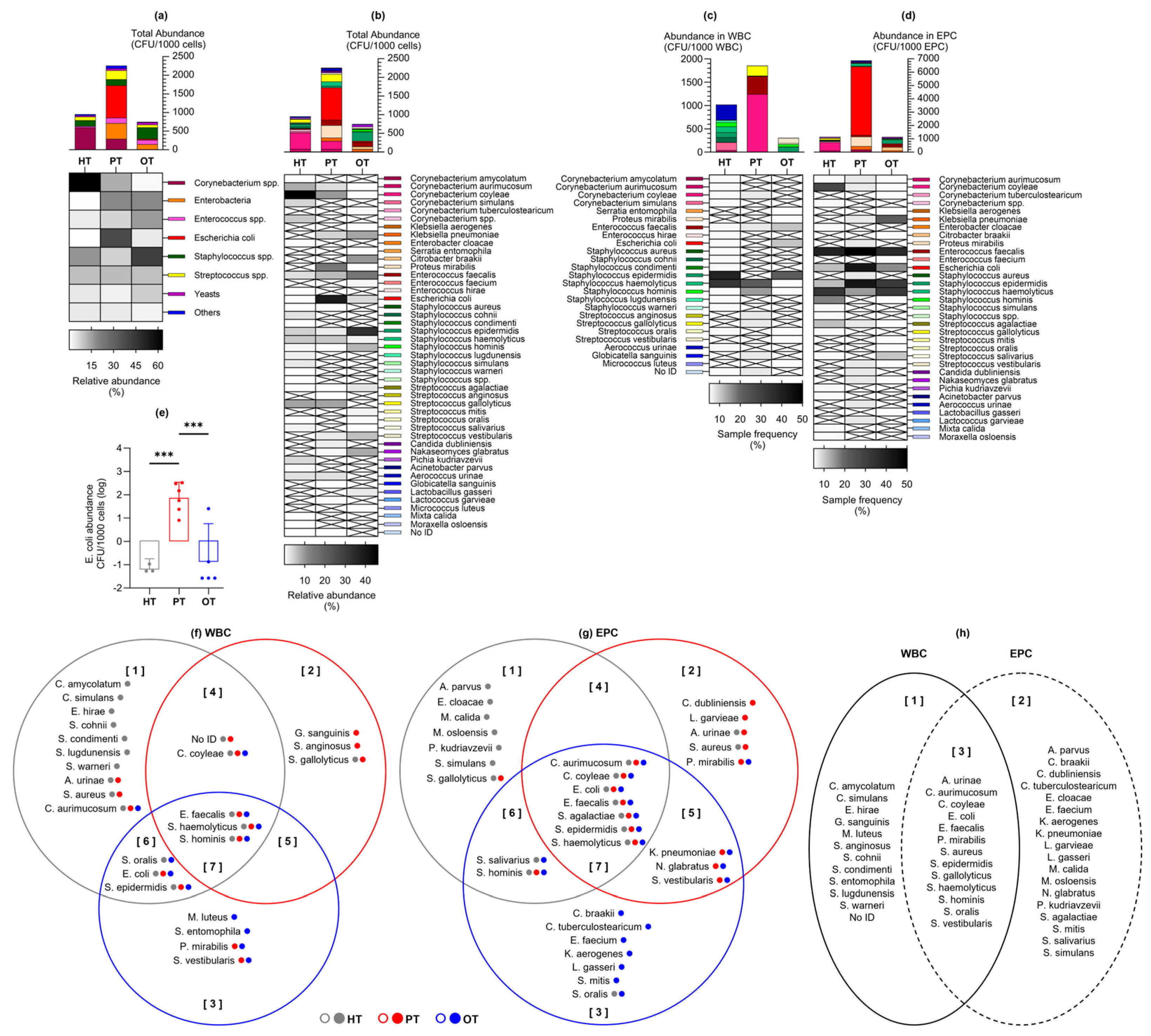 Preprints 147501 g004