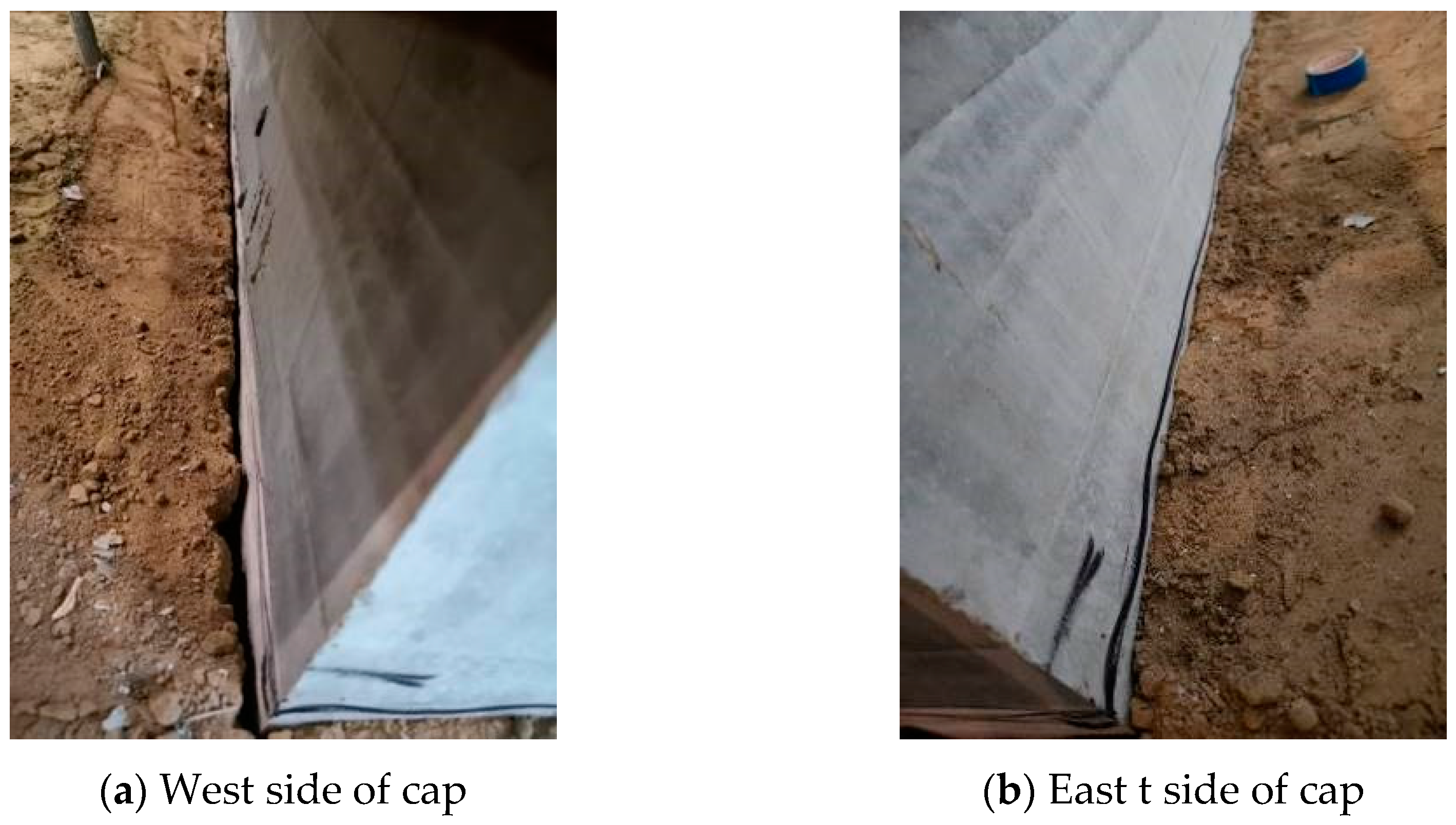 Preprints 78074 g010