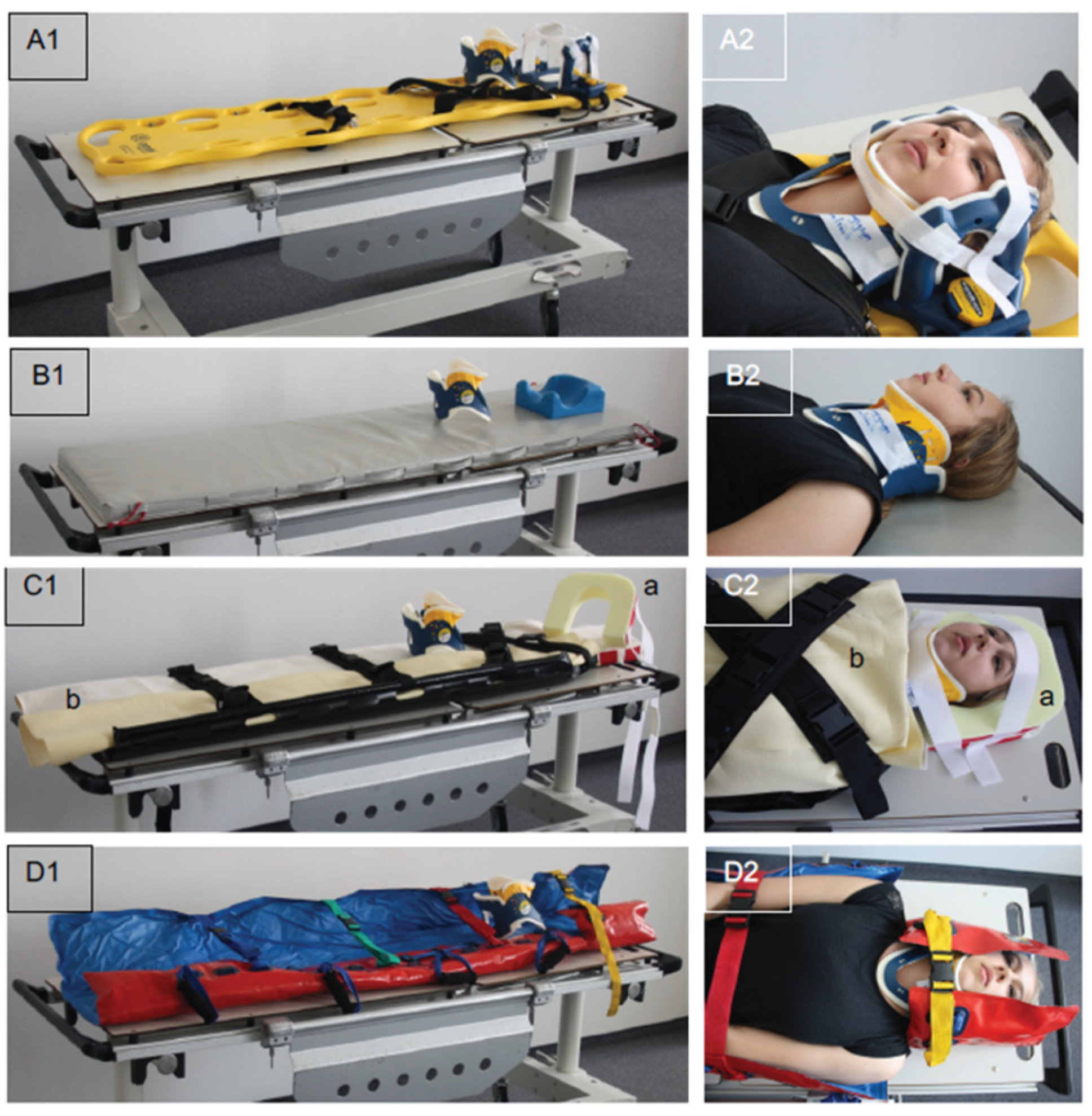 Preprints 188318 g001