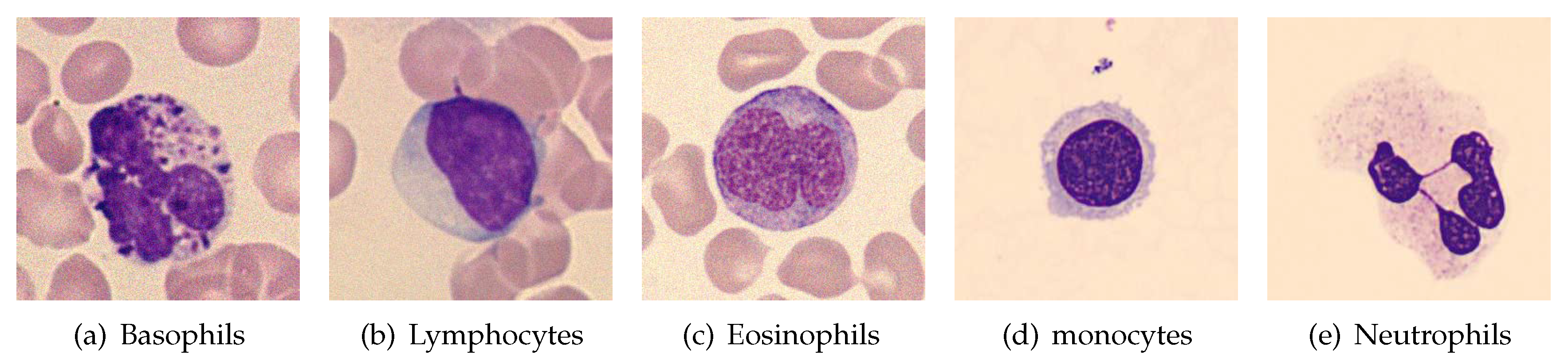 Preprints 83696 g001
