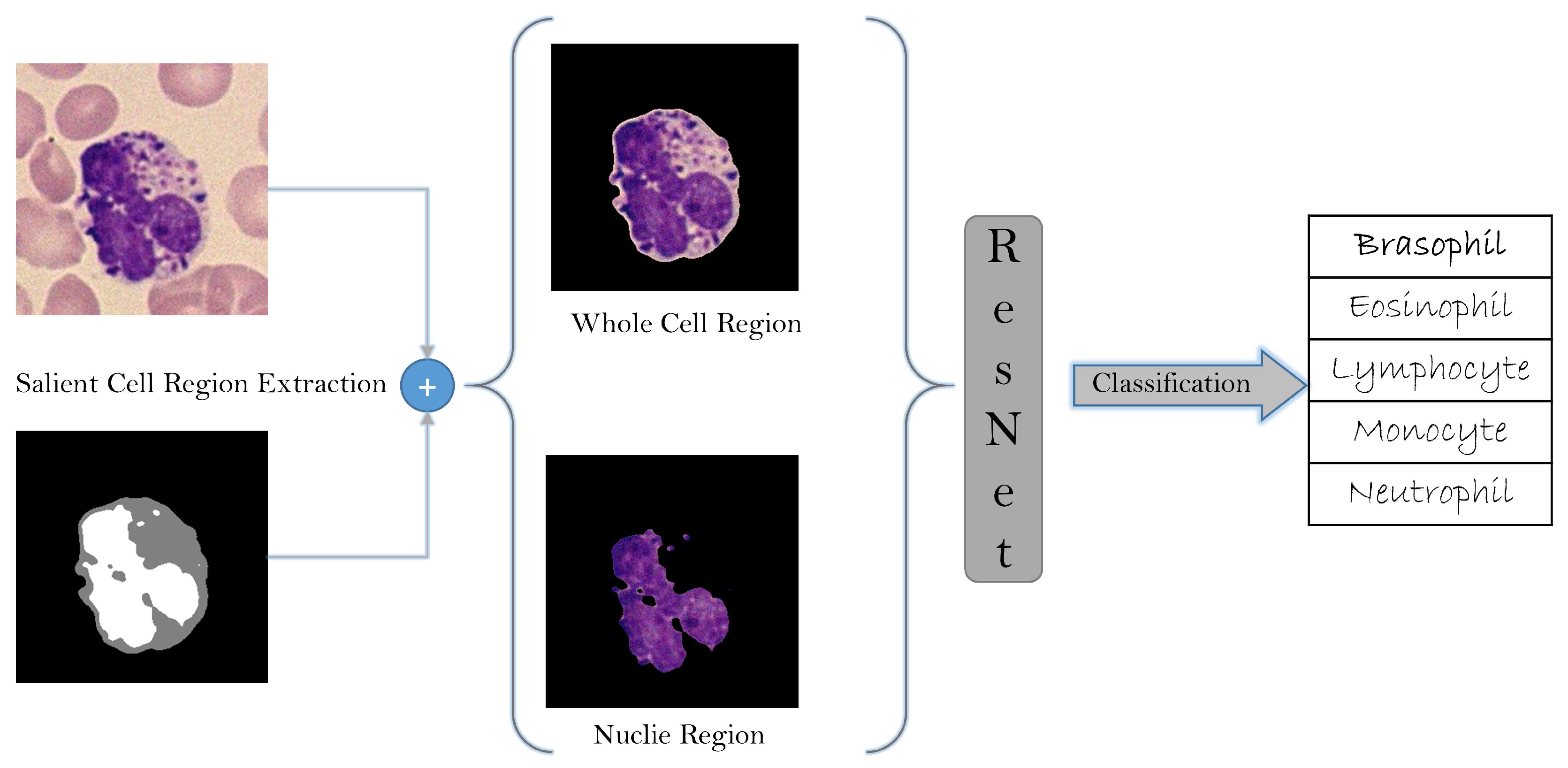 Preprints 83696 g010