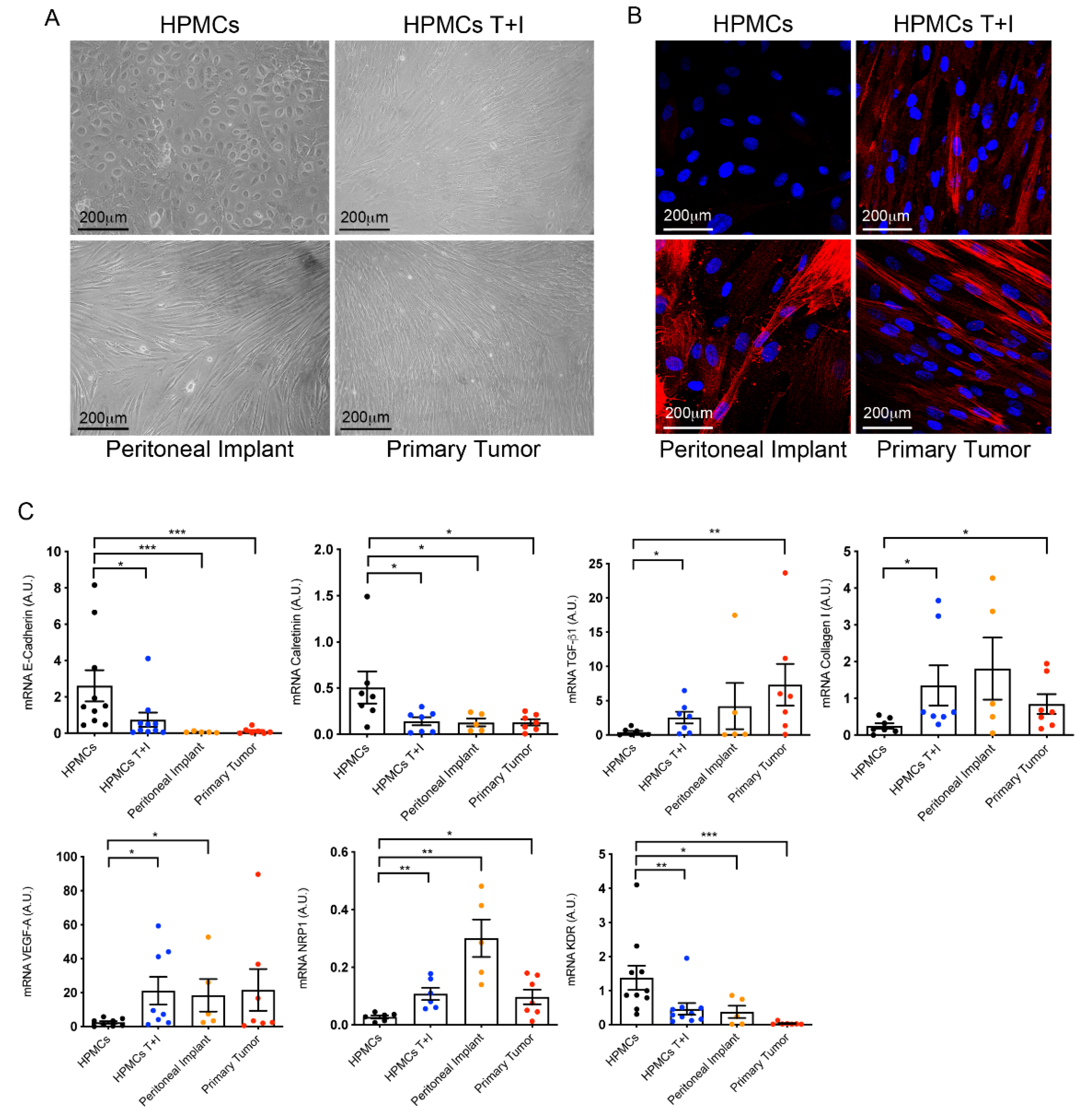 Preprints 107900 g001