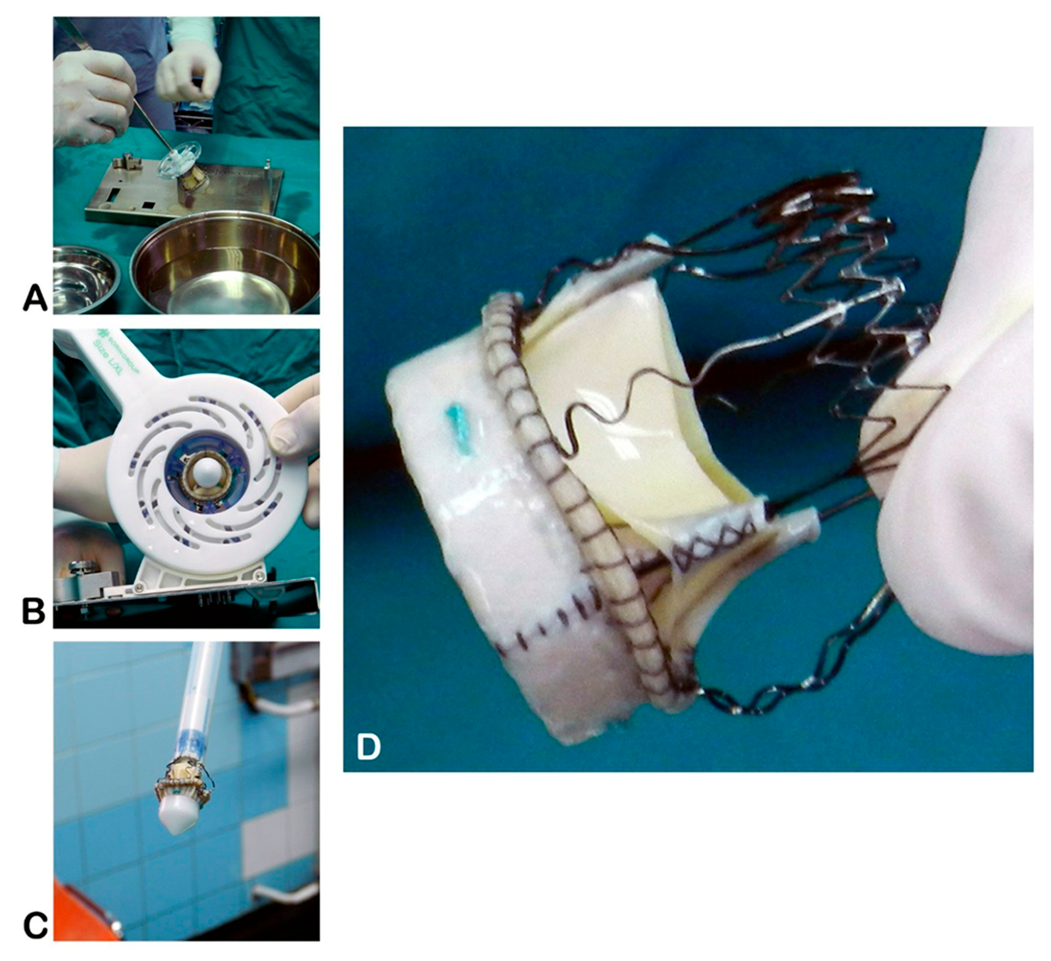 Preprints 161432 g001